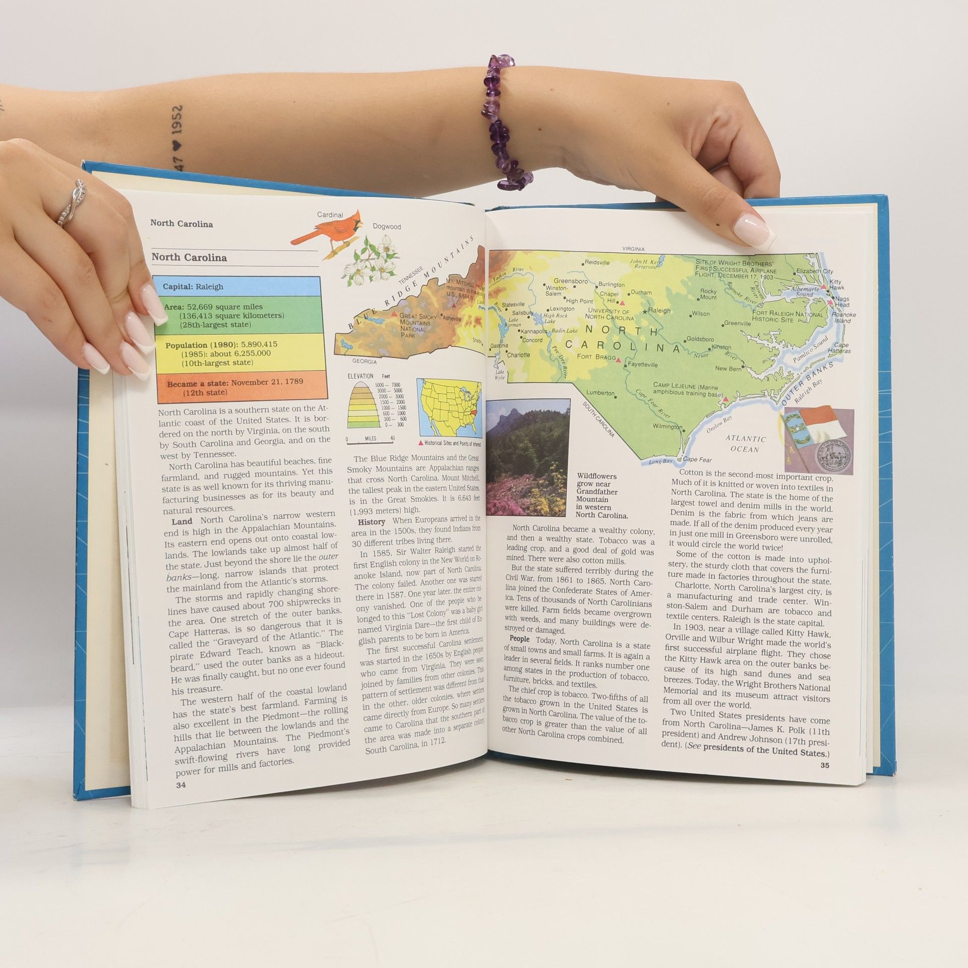 The Golden Book Encyclopedia