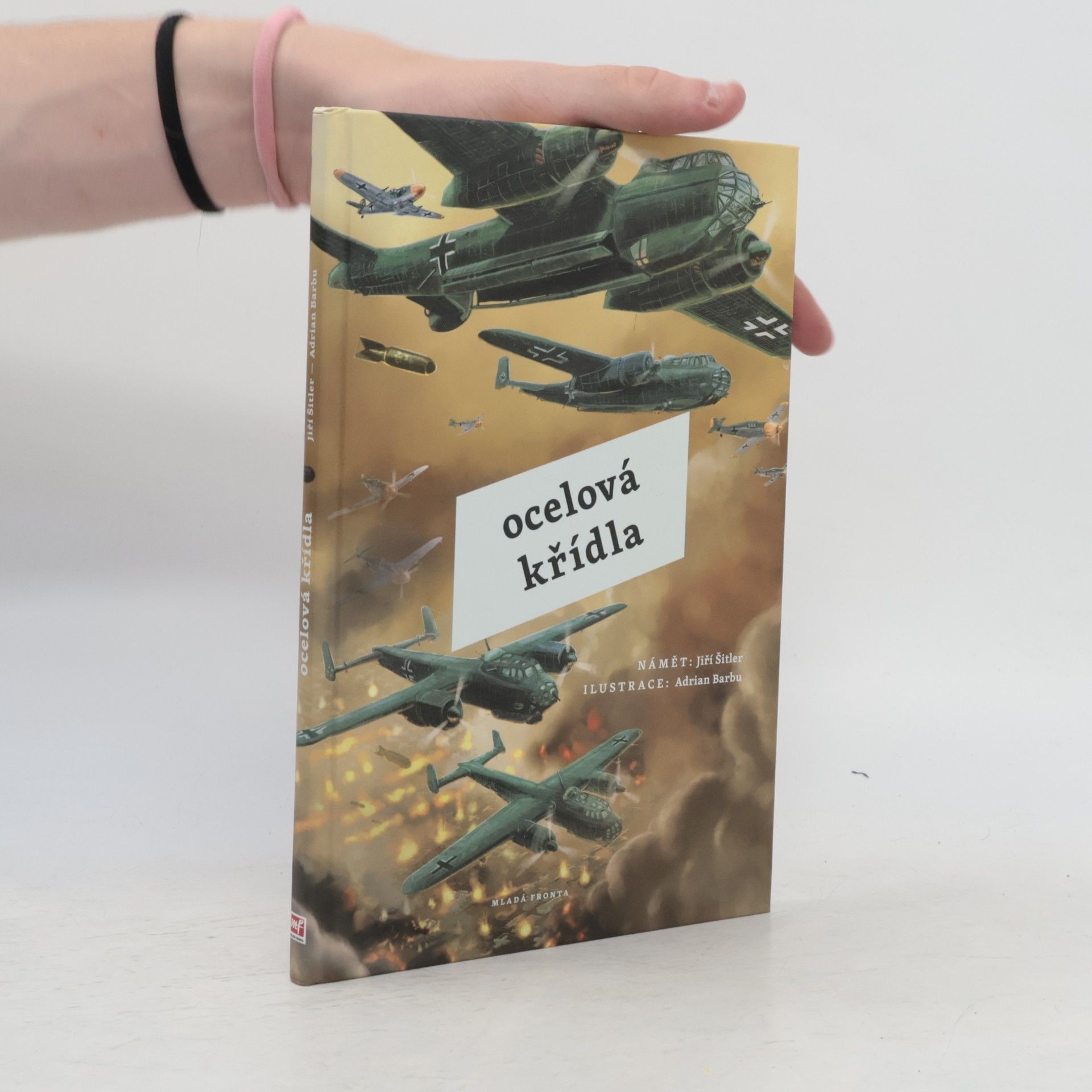 Jiří Šitler Ocelová křídla