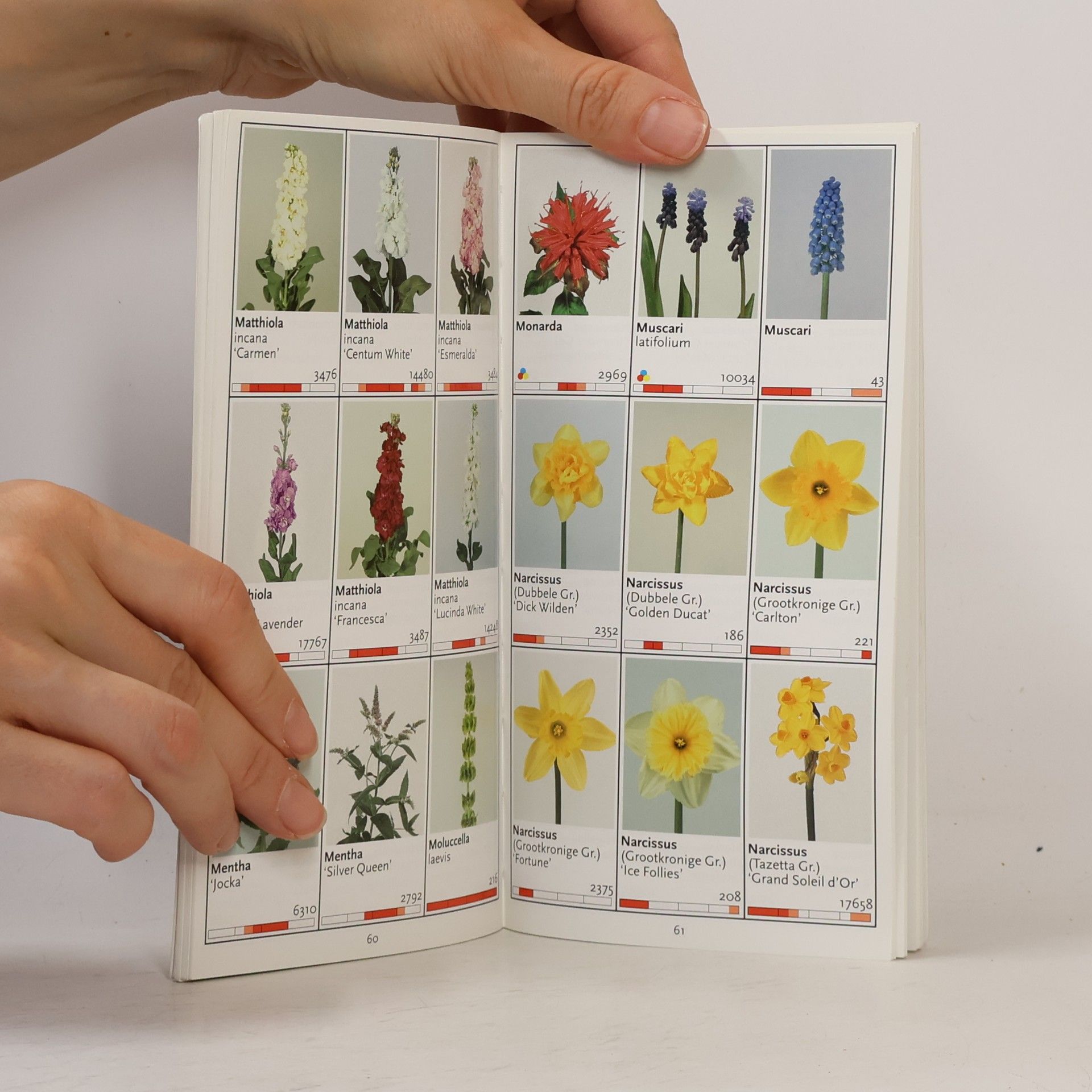 Auteurscollectief Flowers from Holland