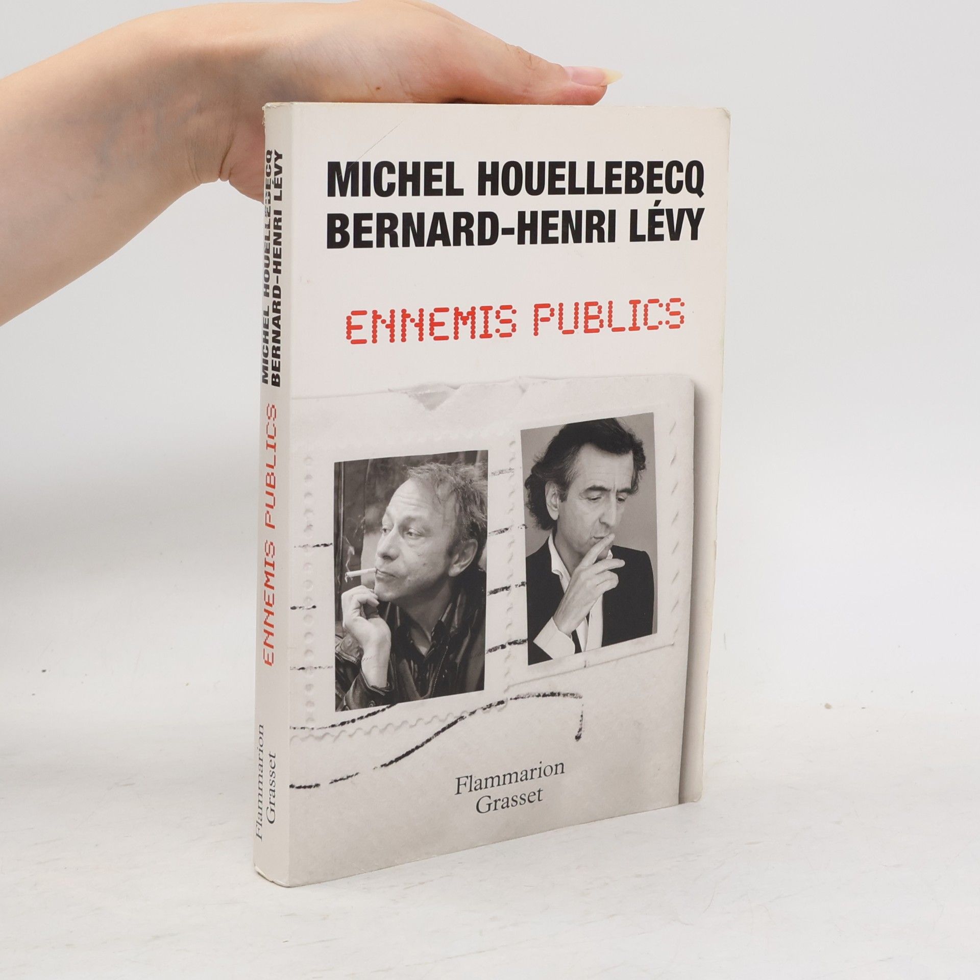 Michel Houellebecq Ennemis publics