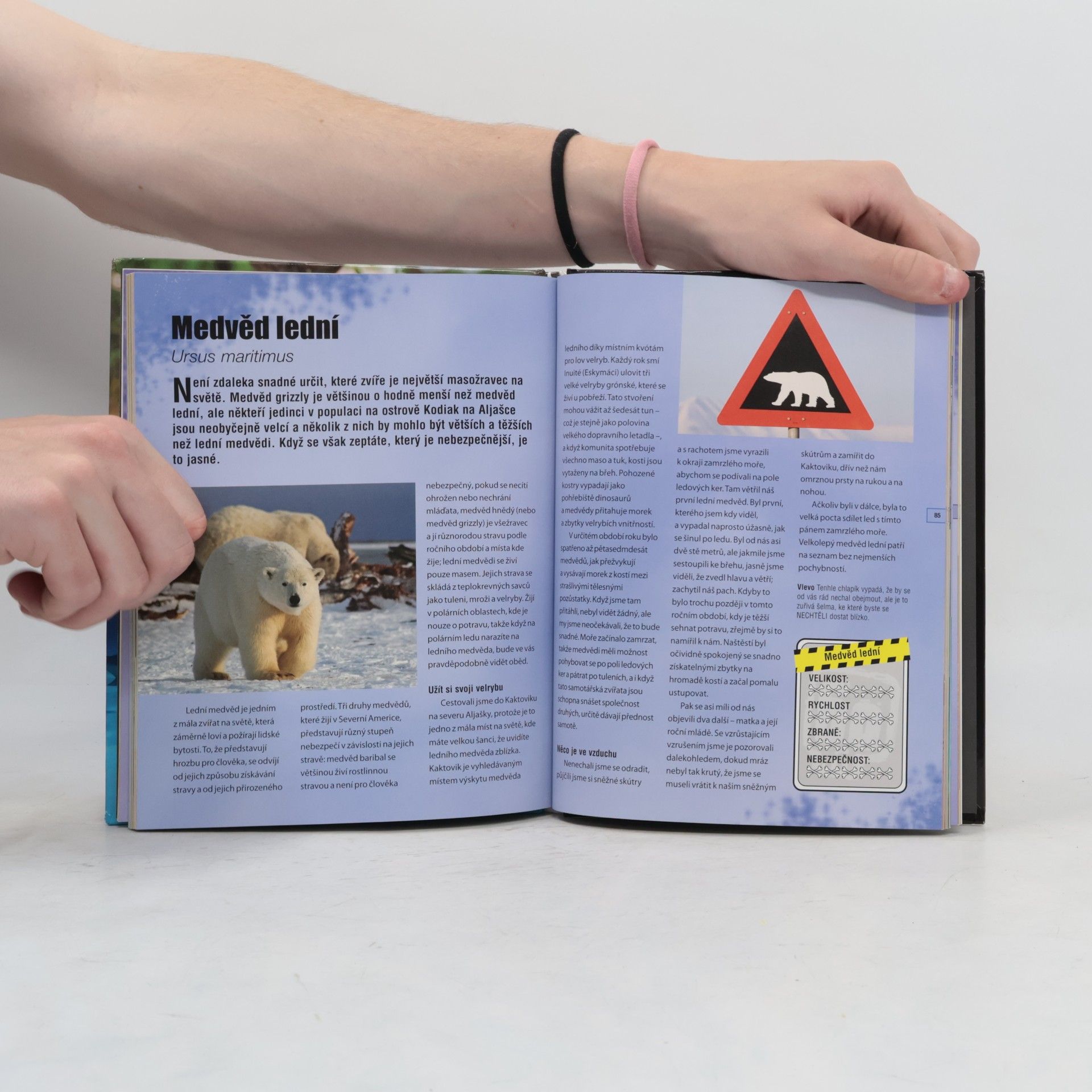 Steve Backshall 60 zabijáků podle Steva Backshalla