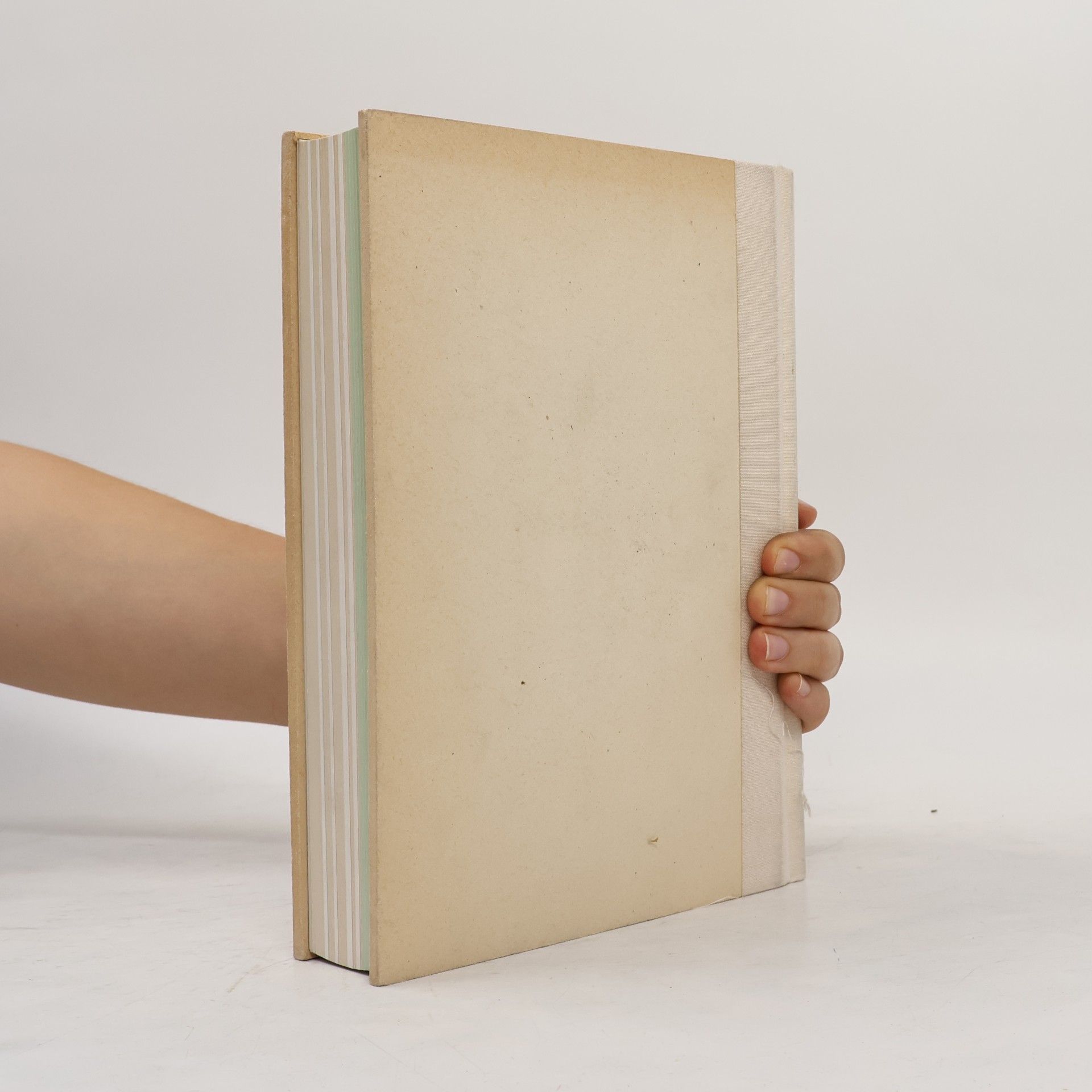 Suzana Milevska The Renaming of the Machine