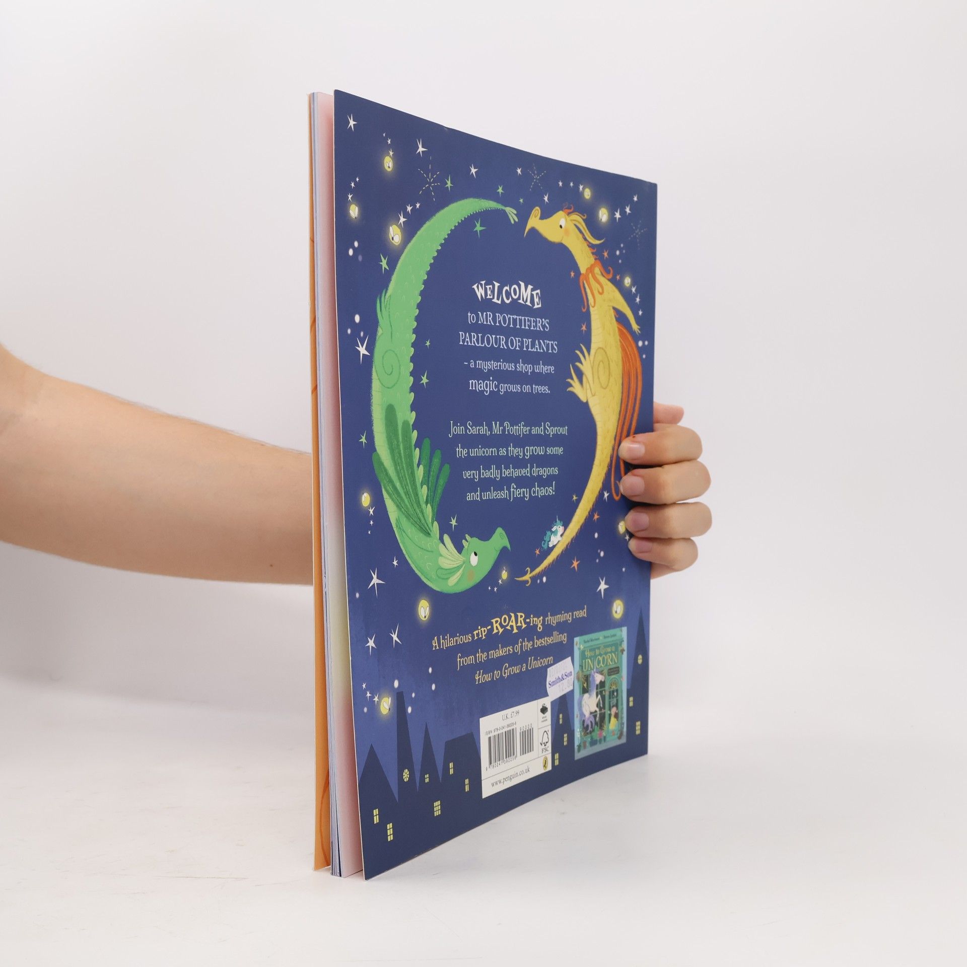 Rachel Morrisroe How to Grow a Dragon