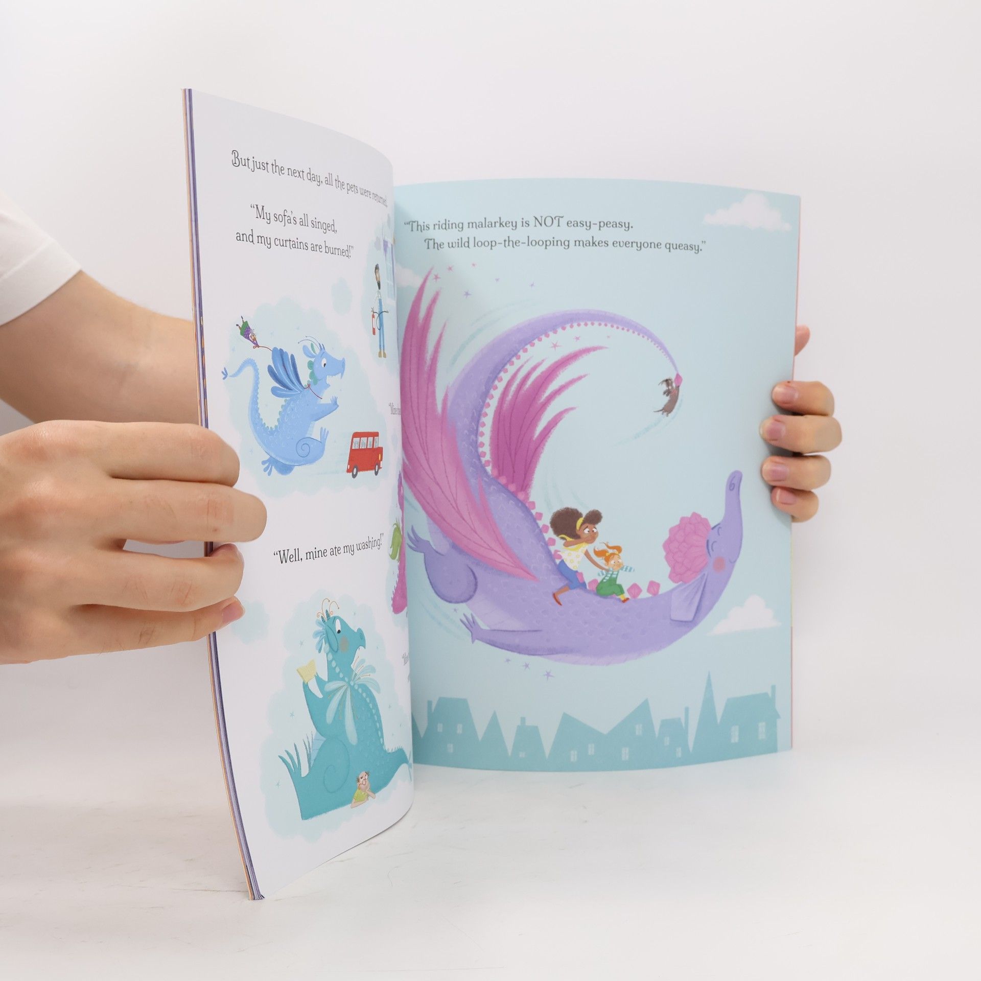 Rachel Morrisroe How to Grow a Dragon