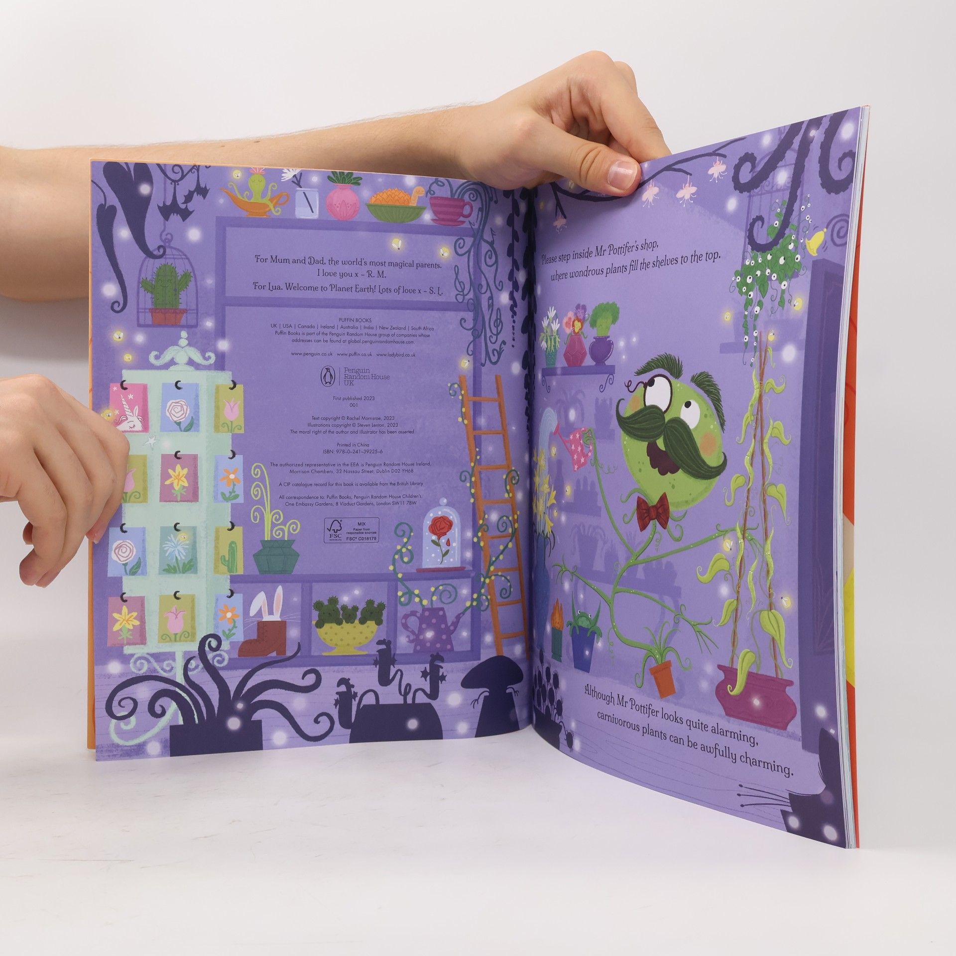 Rachel Morrisroe How to Grow a Dragon