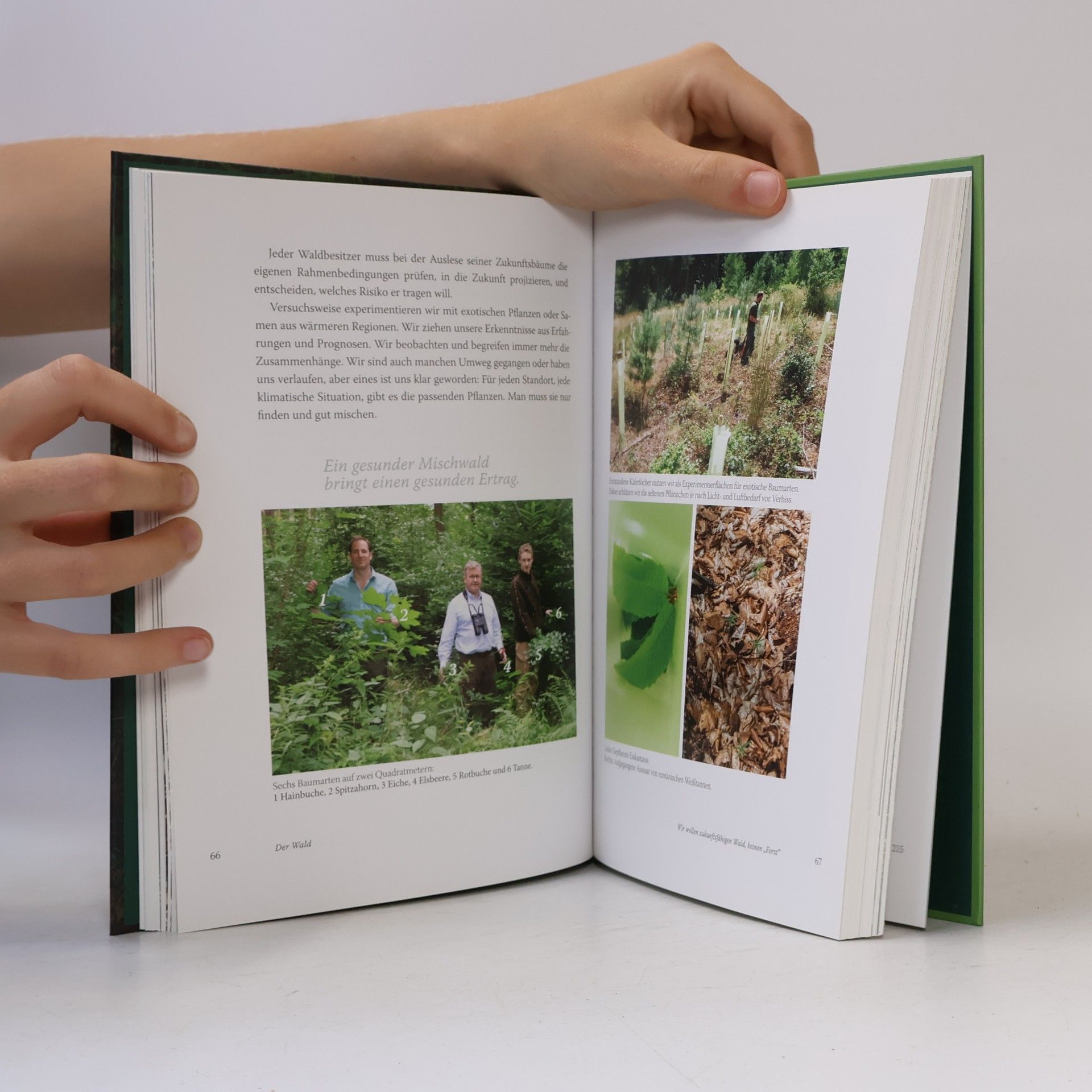 Ferdinand Castell Der Wald für unsere Enkel
