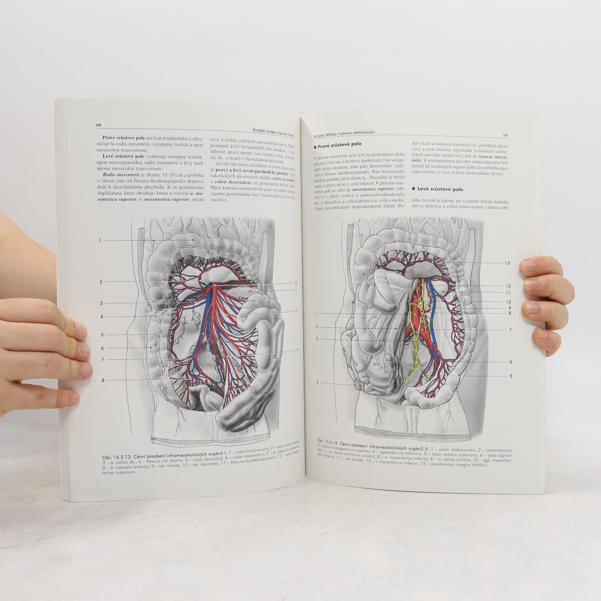 Miloš Grim Základy anatomie. 5., Anatomie krajin těla