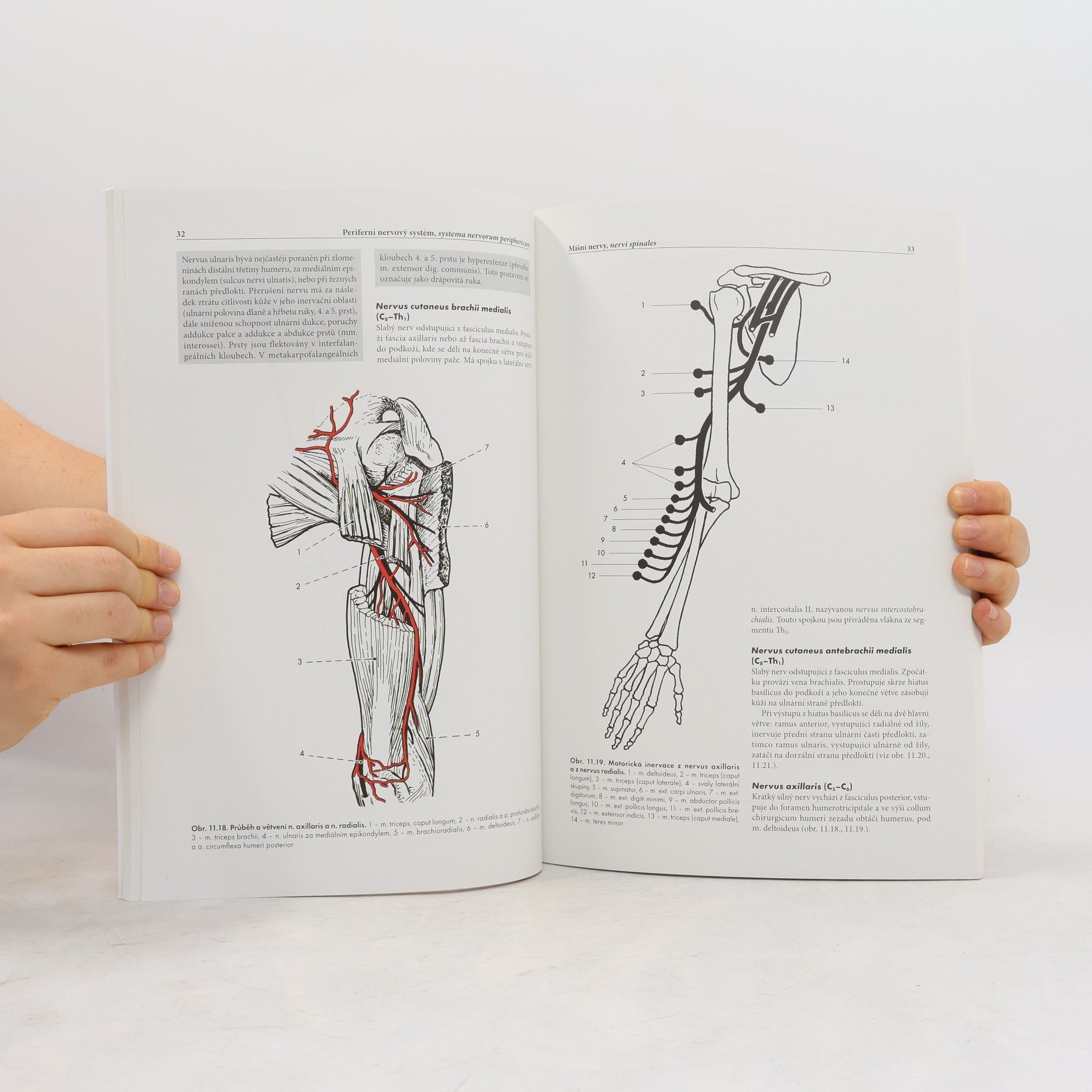 Miloš Grim Základy anatomie 4b.