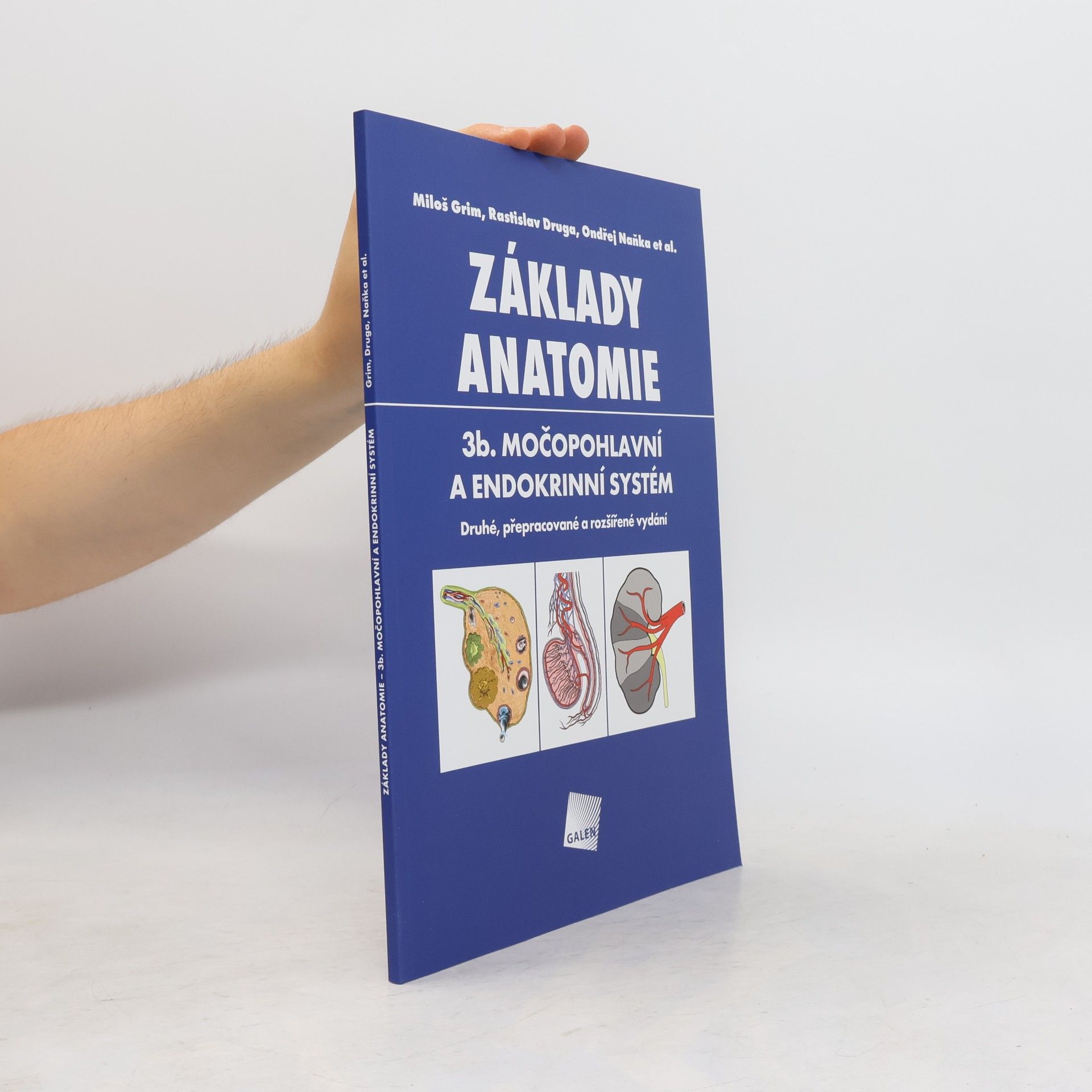 Jan Kacvinský Základy anatomie. 3b., Močopohlavní a endokrinní systém
