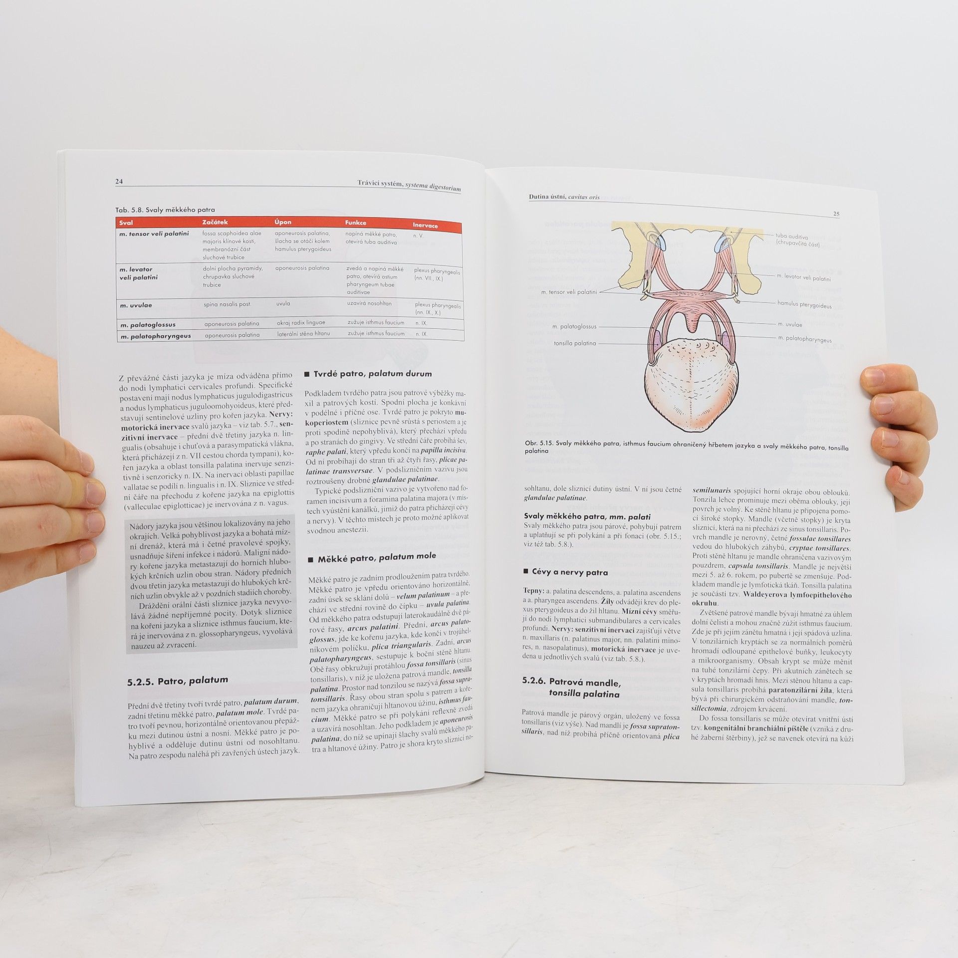 Miloš Grim Základy anatomie. 3a., Trávicí a dýchací systém