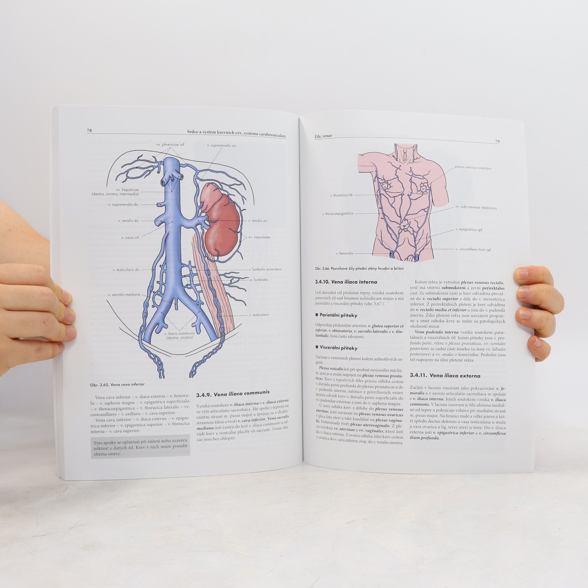 Miloš Grim Základy anatomie. 2., Kardiovaskulární a lymfatický systém