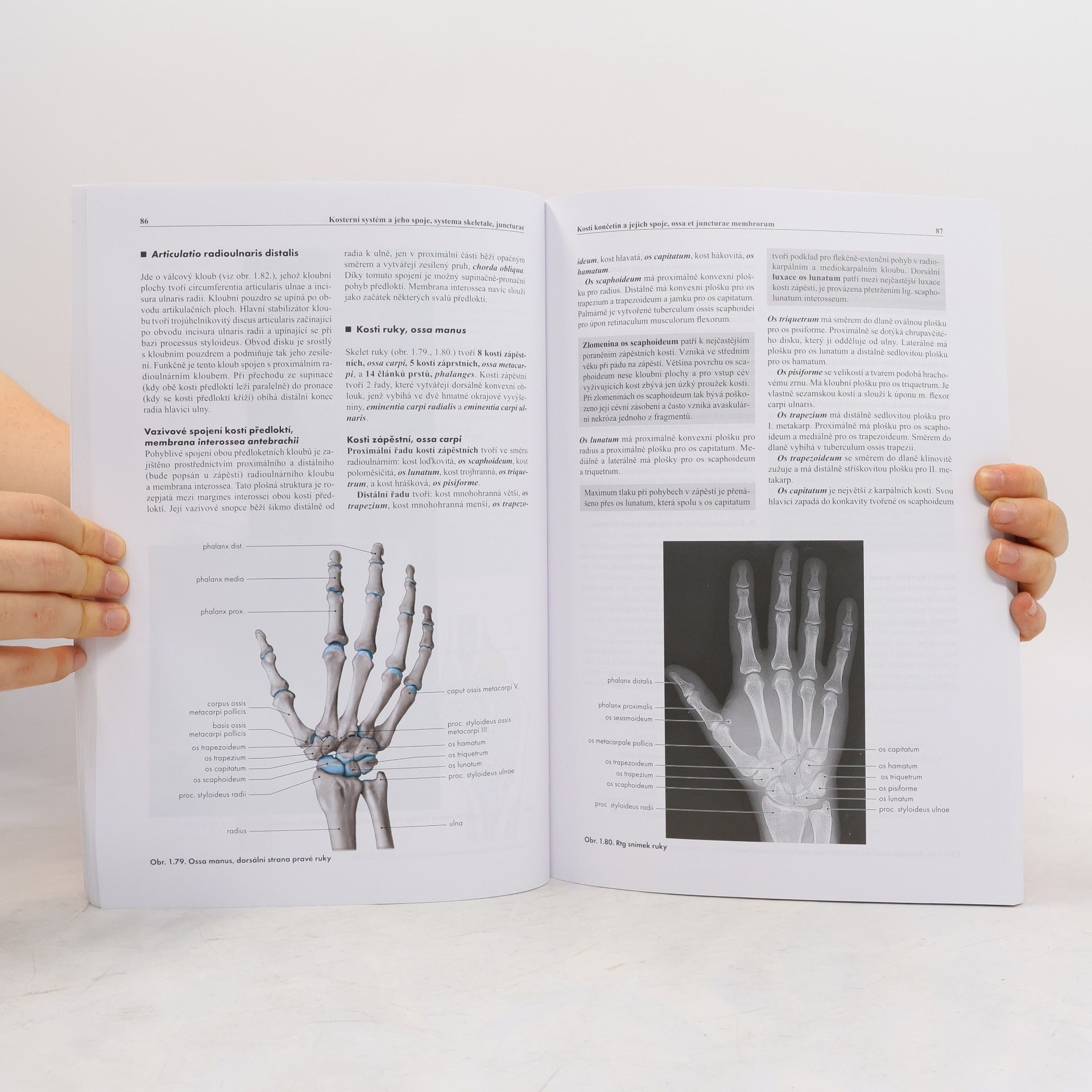 Miloš Grim Základy anatomie. 1., Obecná anatomie a pohybový systém