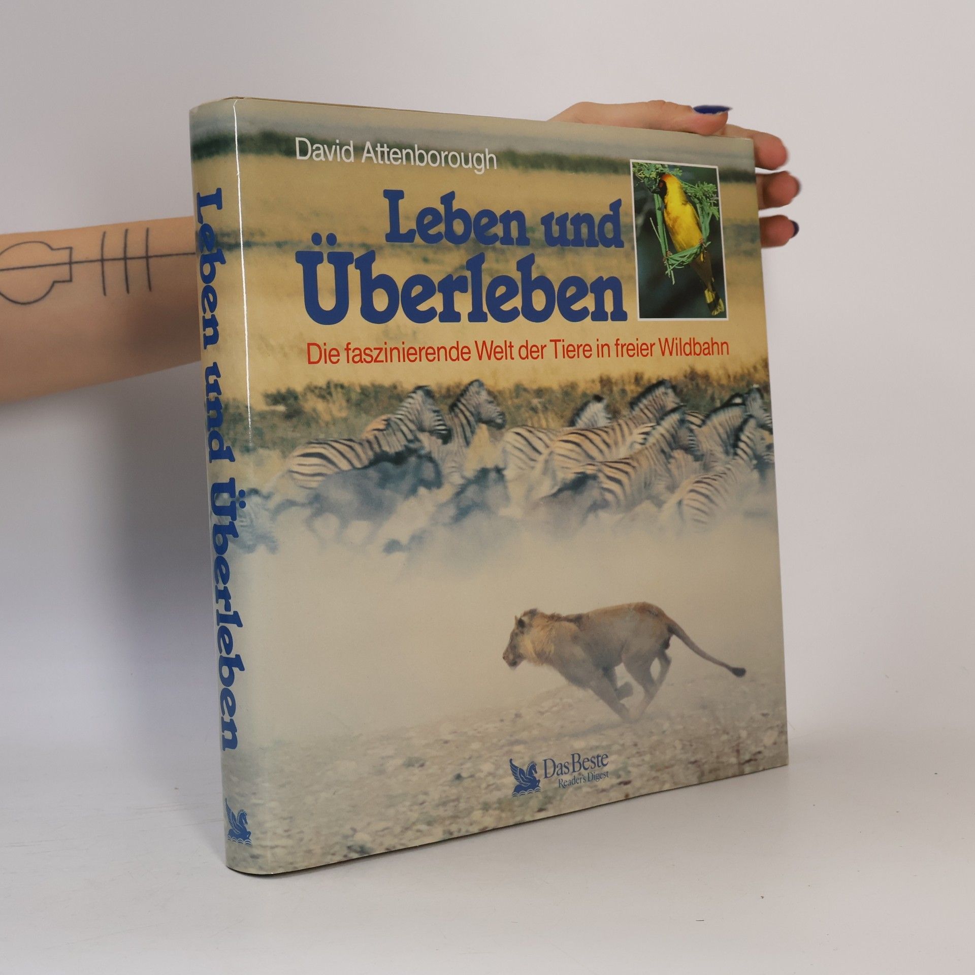 David Attenborough Leben und Überleben