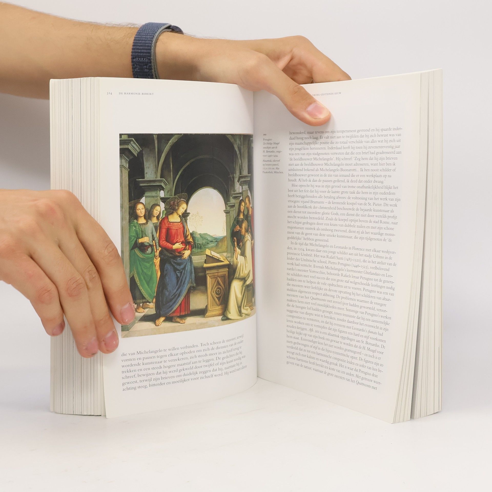 E.H. Gombrich Eeuwige schoonheid / druk 21