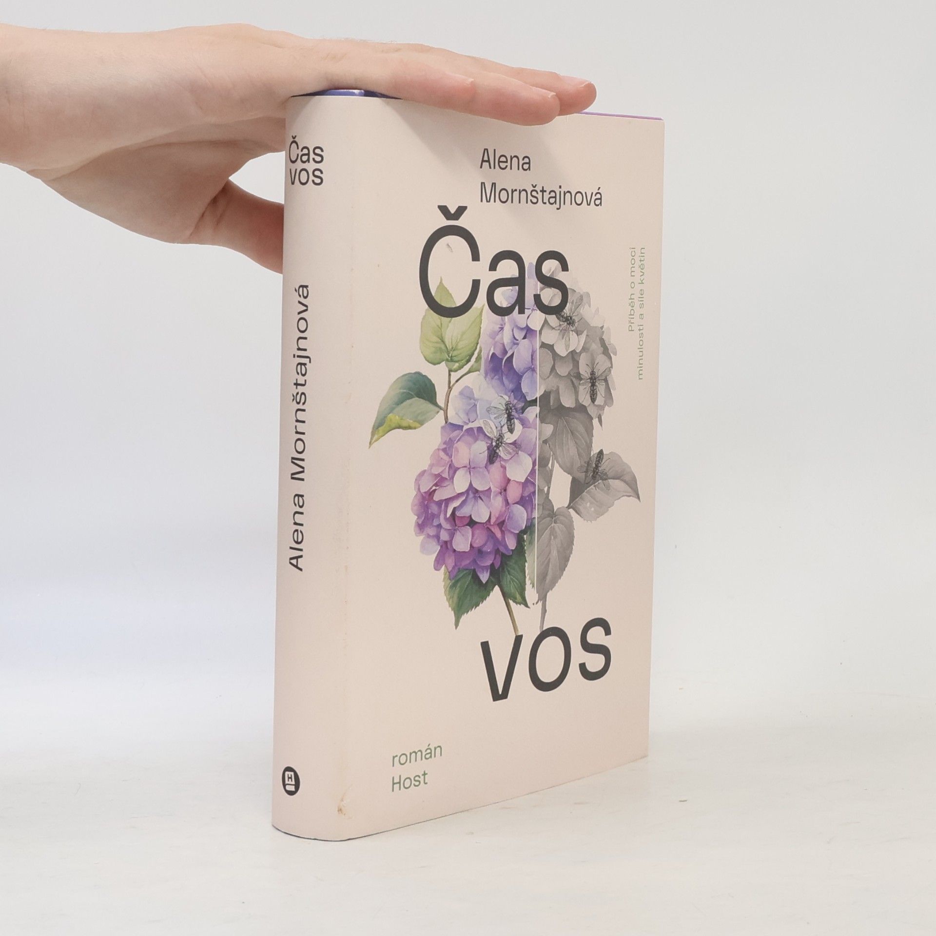 Alena Mornštajnová Čas vos