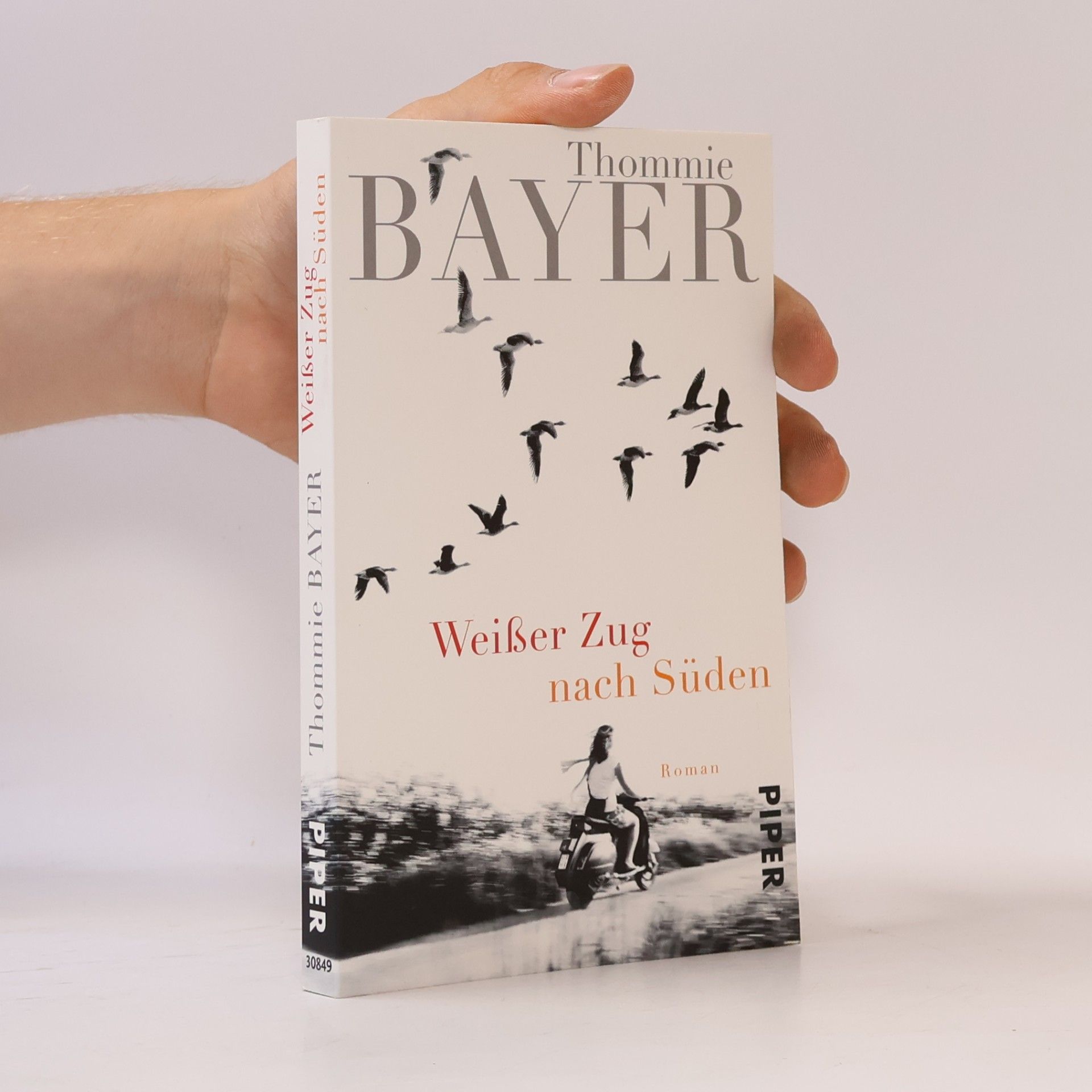 Thommie Bayer Weißer Zug nach Süden