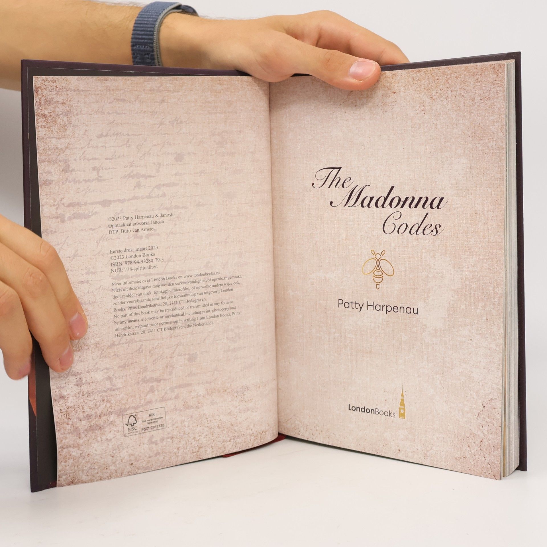 Patty Harpenau The Madonna Codes