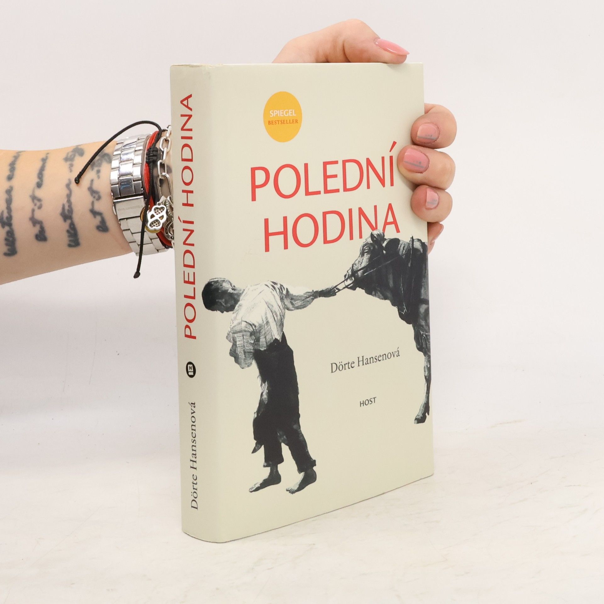 Dörte Hansen Polední hodina