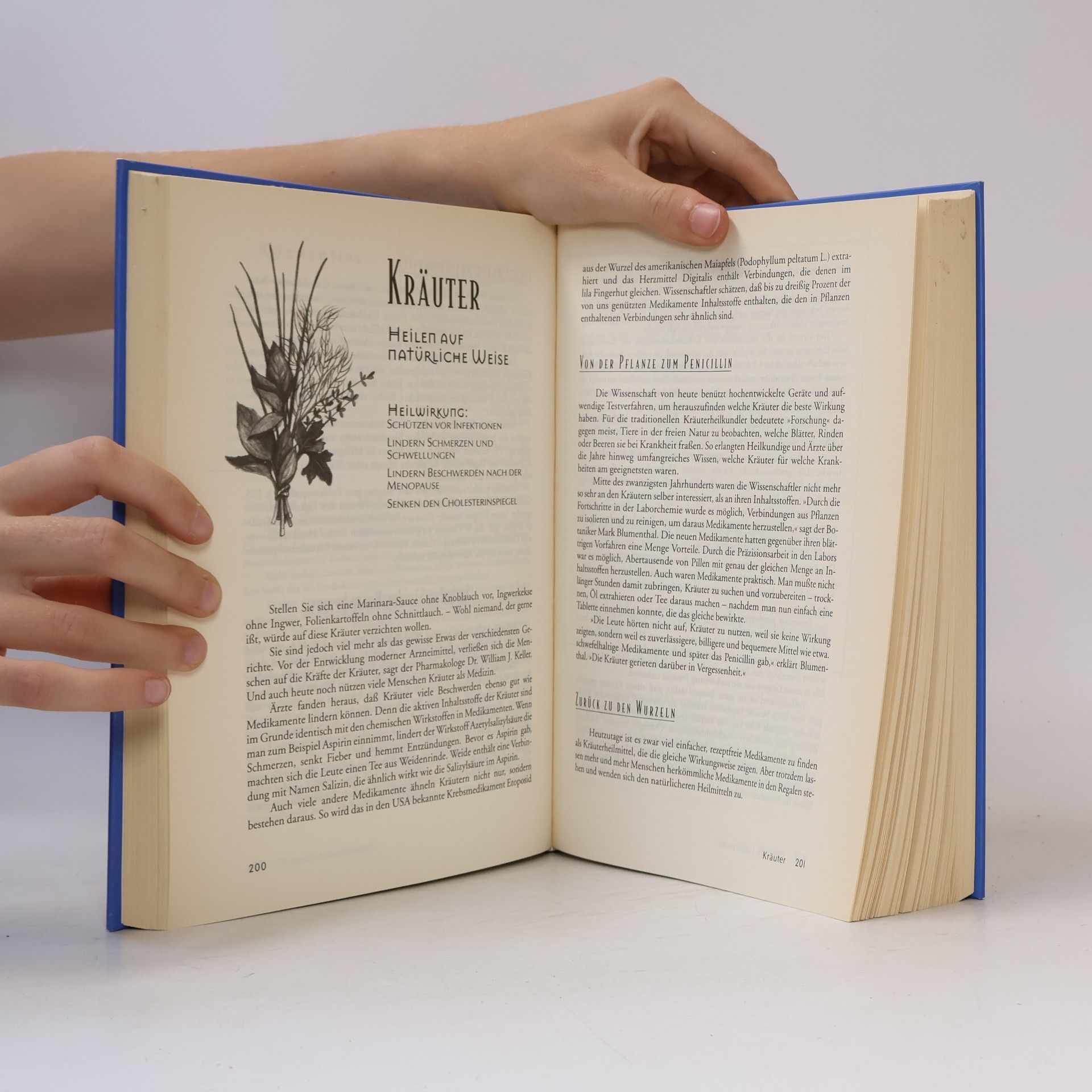 Selene Yeager Das Ärztebuch der Heilkraft unserer Lebensmittel