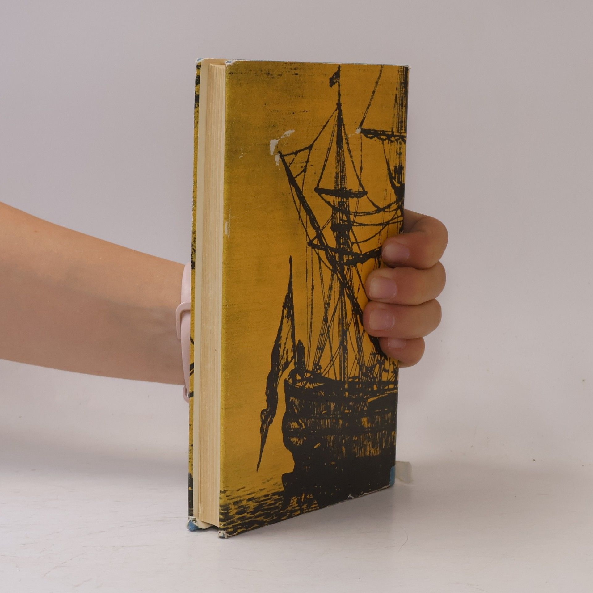 Robert Louis Stevenson Die Schatzinsel