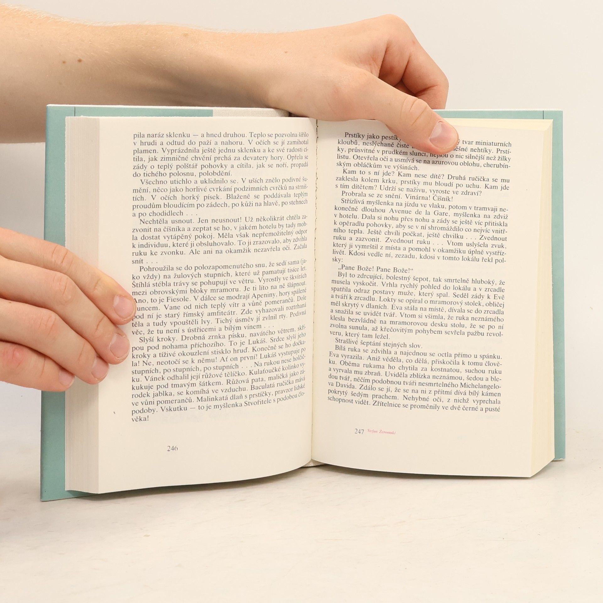 Stefan Żeromski Historie hříchu