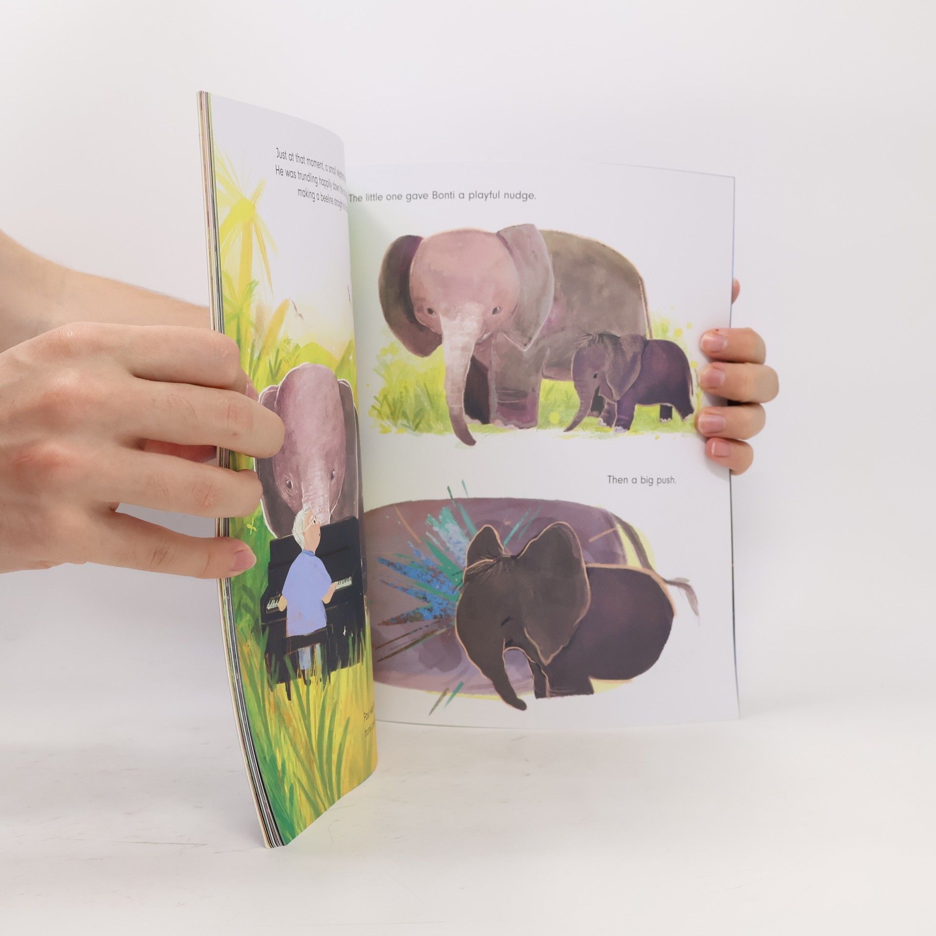 Colette Hiller The Elephant and the Piano