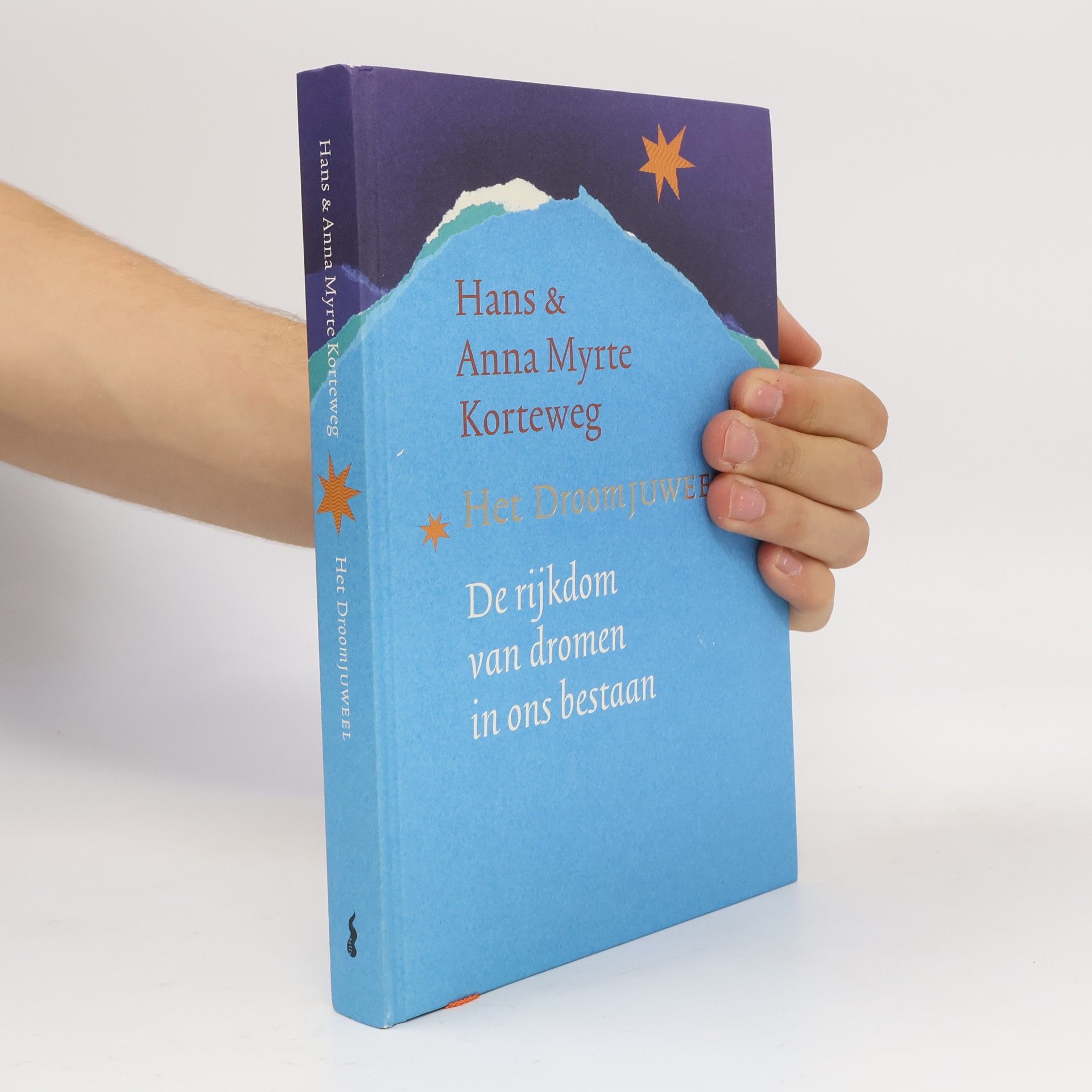 Anna Myrte Korteweg Het droomjuweel