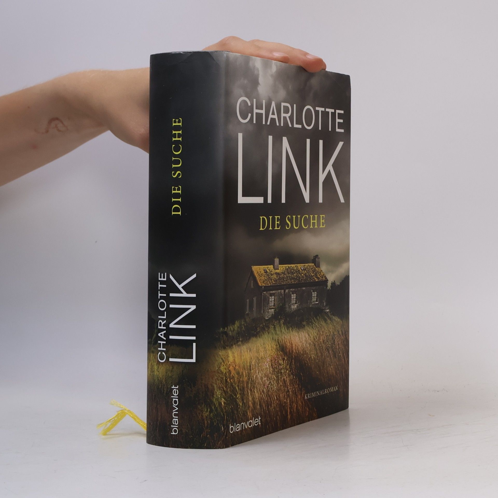 Charlotte Link Die Suche