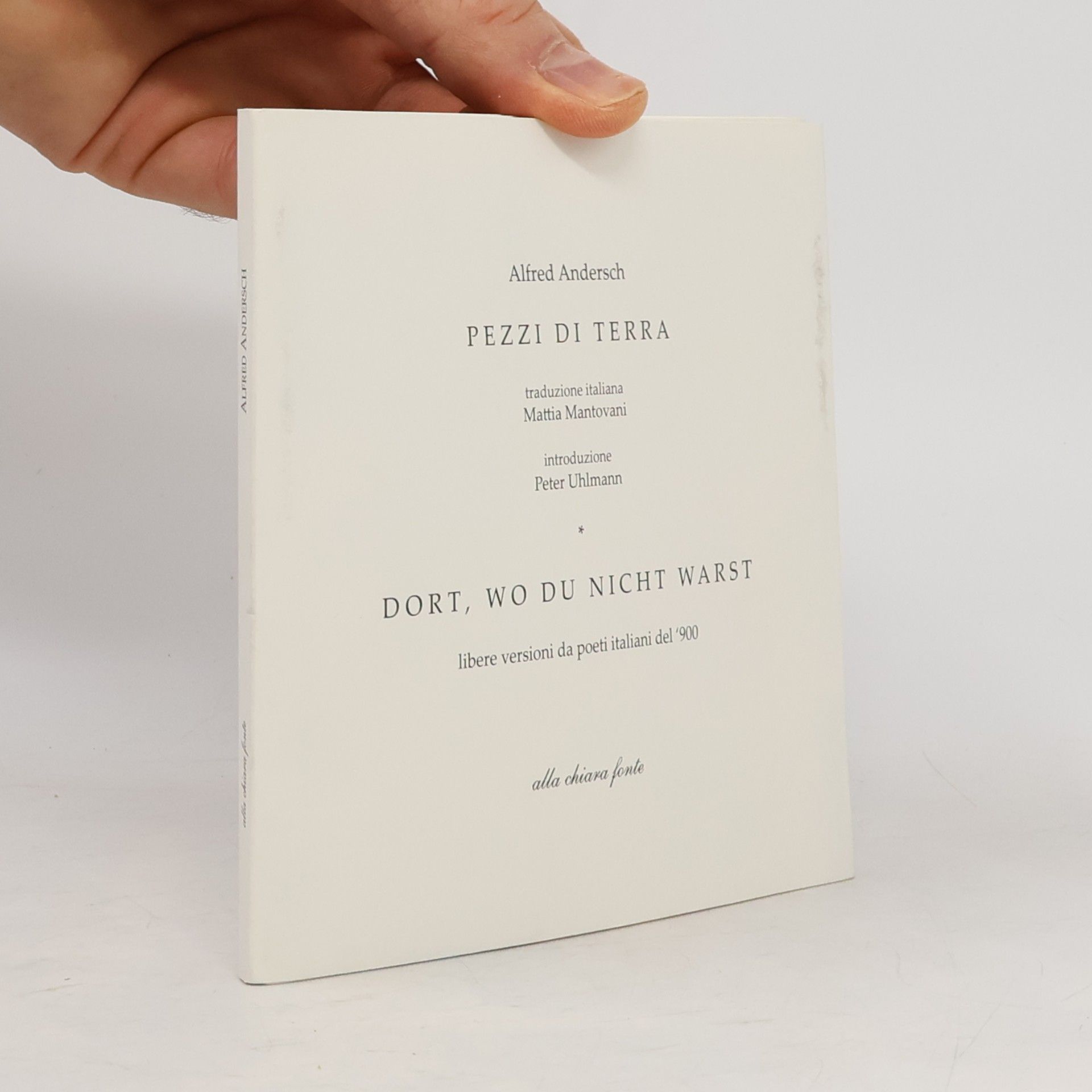 Pezzi di terra