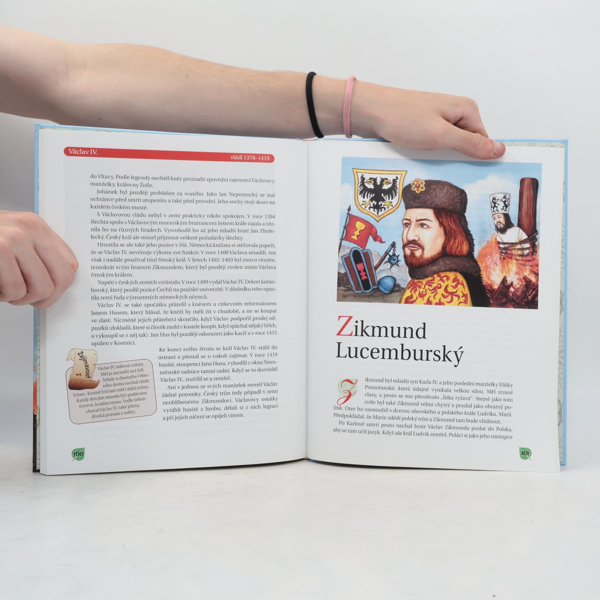 Krista Dřišťánová Panovníci českých zemí