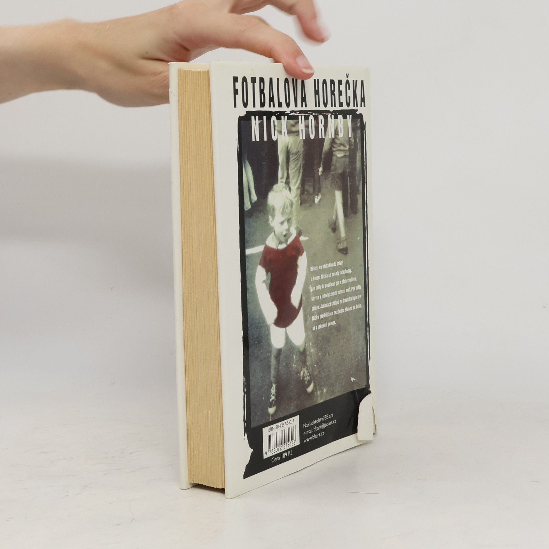 Nick Hornby Fotbalová horečka