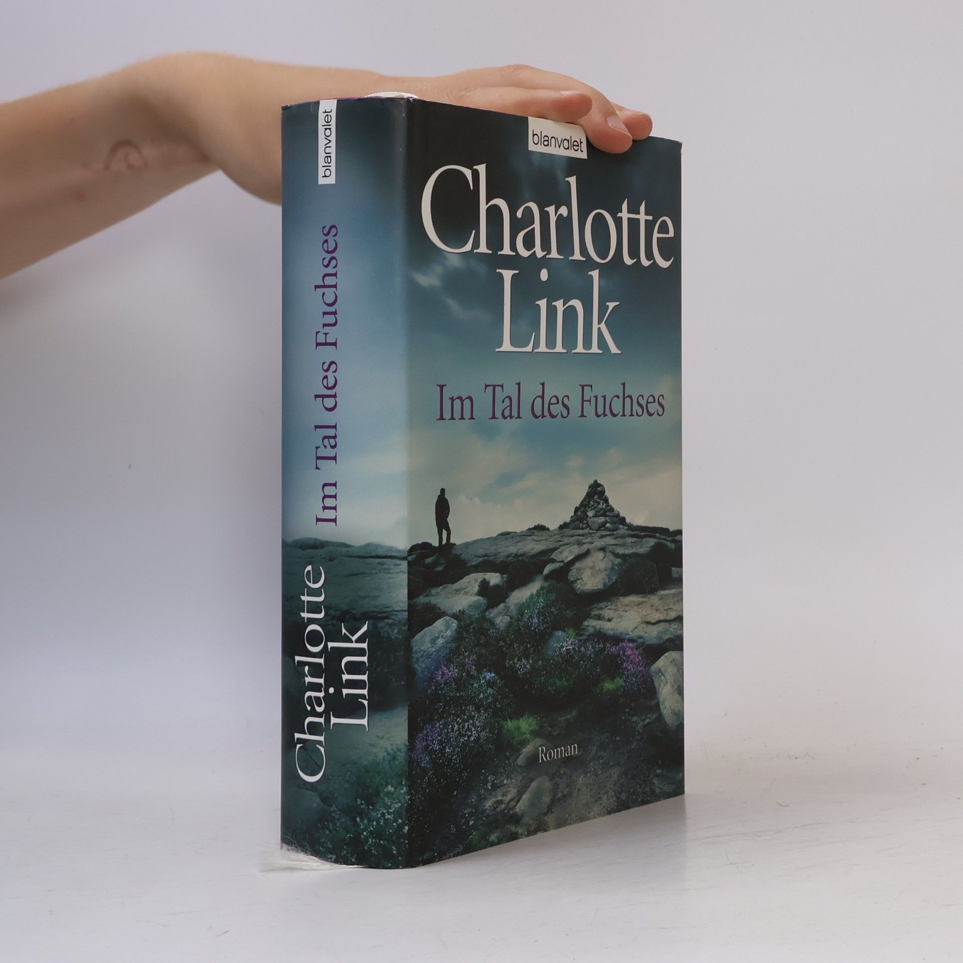 Charlotte Link Im Tal des Fuchses