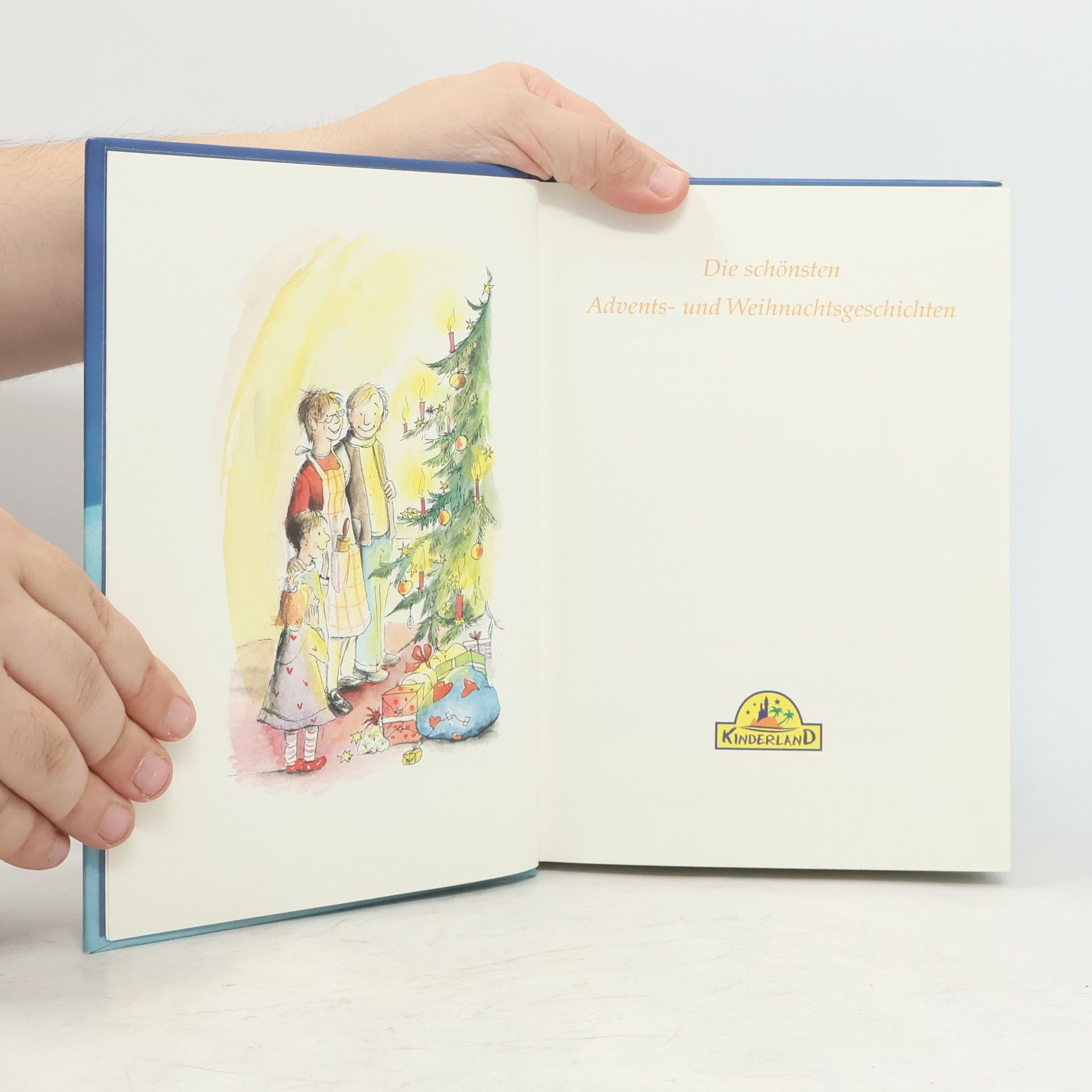 Various authors Die schönsten Leselöwen. Advents- und Weihnachtsgeschichten