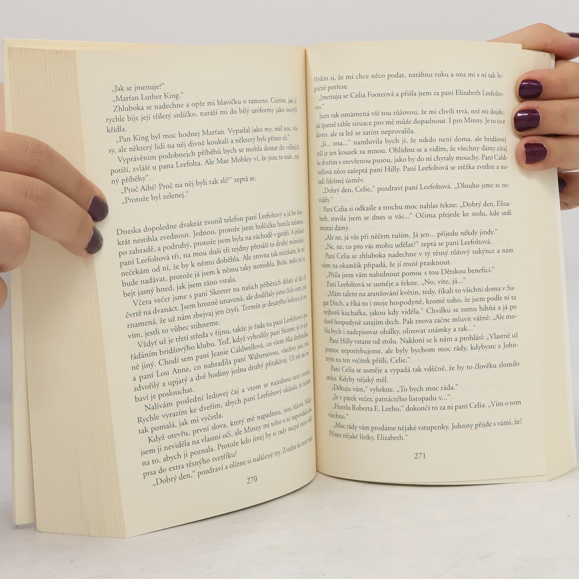 Kathryn Stockett Černobílý svět