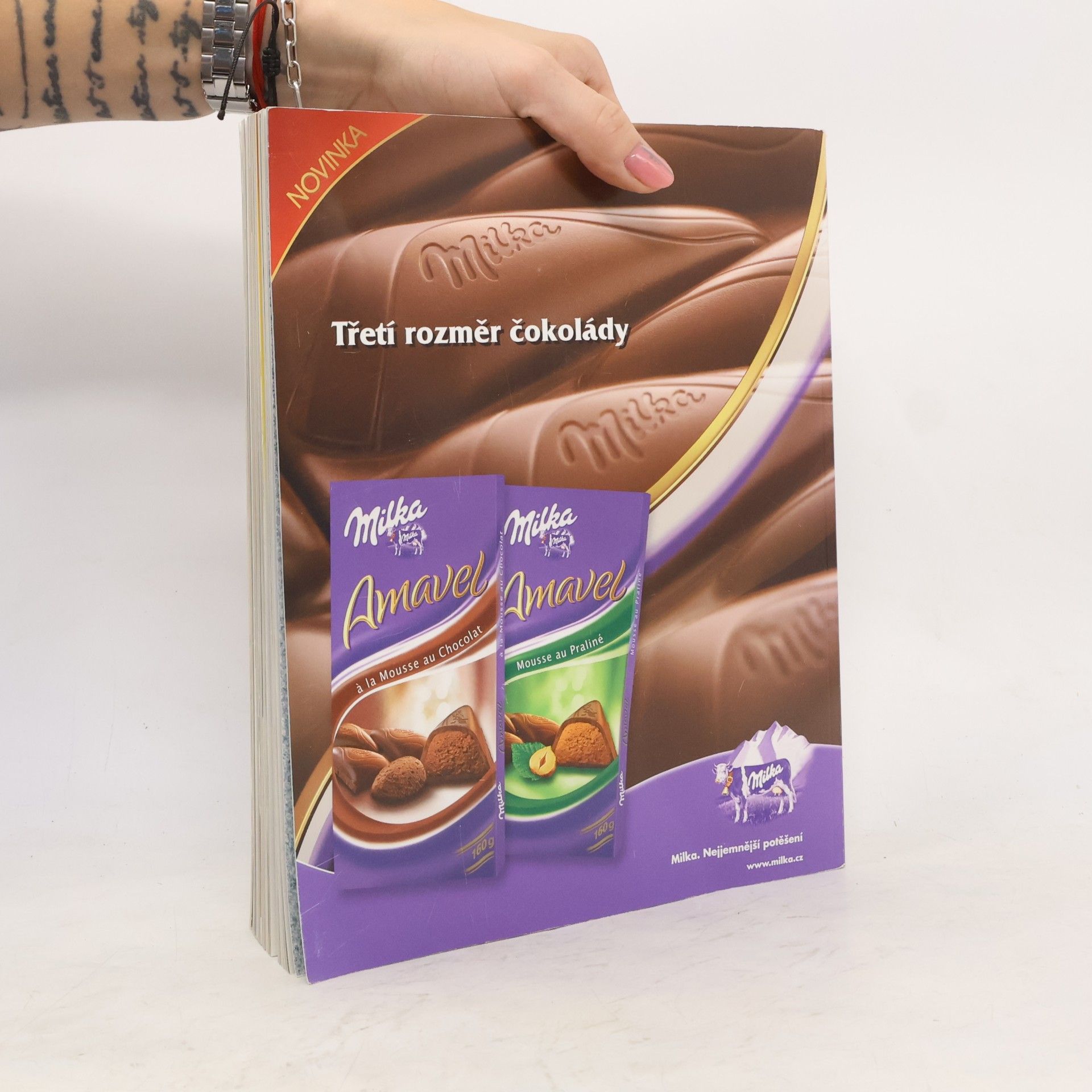 Kolektiv autorů Apetit speciál. Čísla 1-6/2008 (v 1 svazku, vevázané obálky)