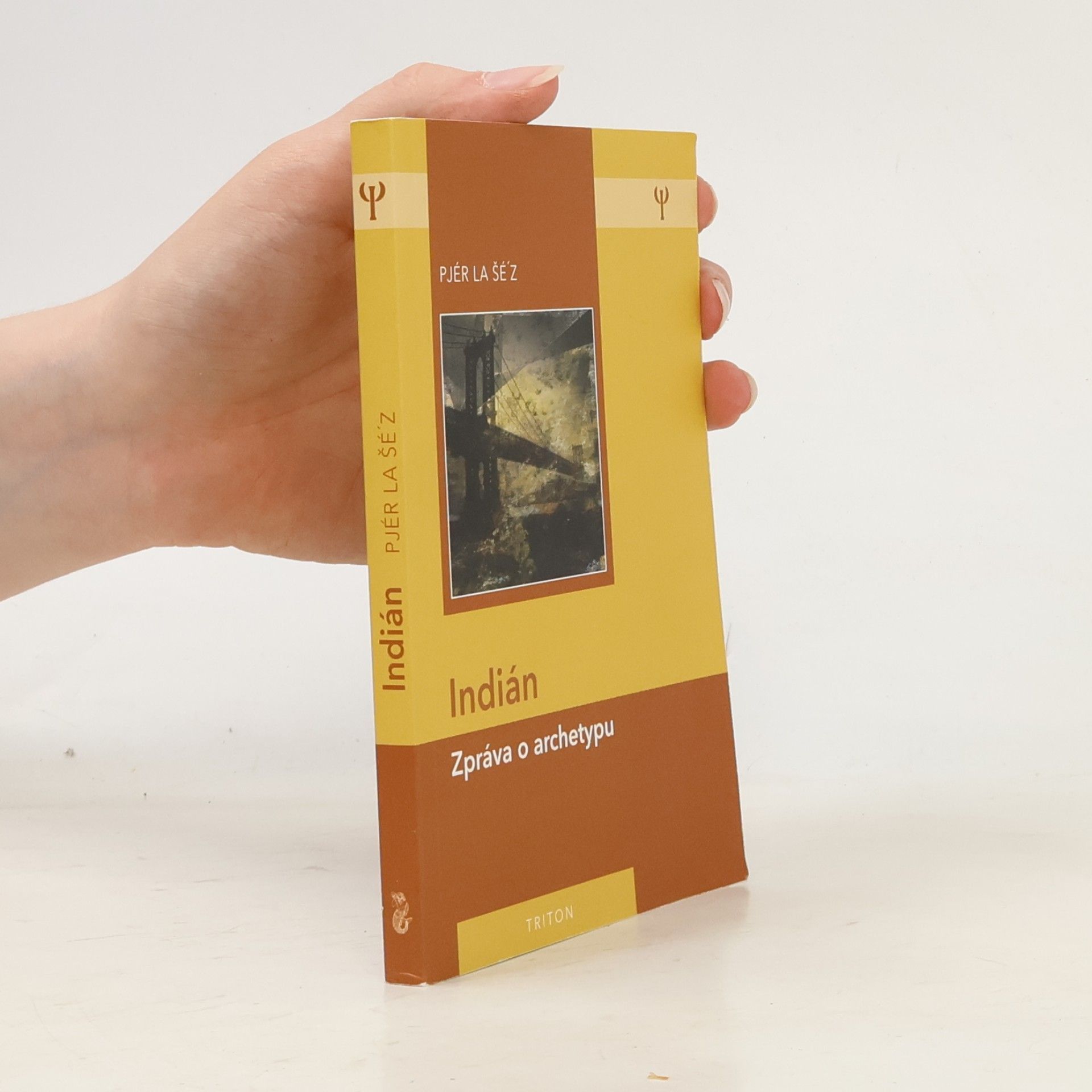 Pjér la Šéz Indián: Zpráva o archetypu