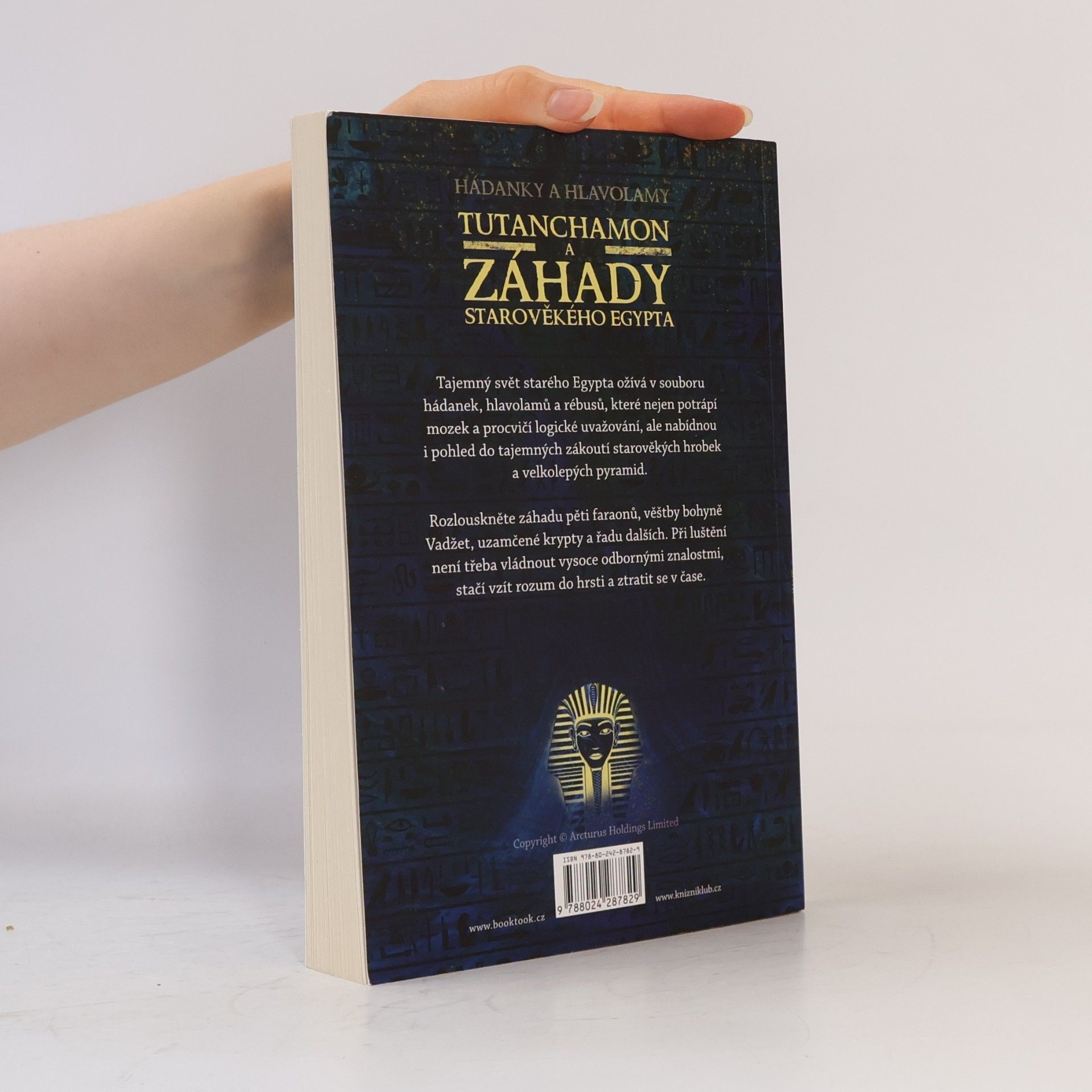 Gareth Moore Tutanchamon a záhady starověkého Egypta