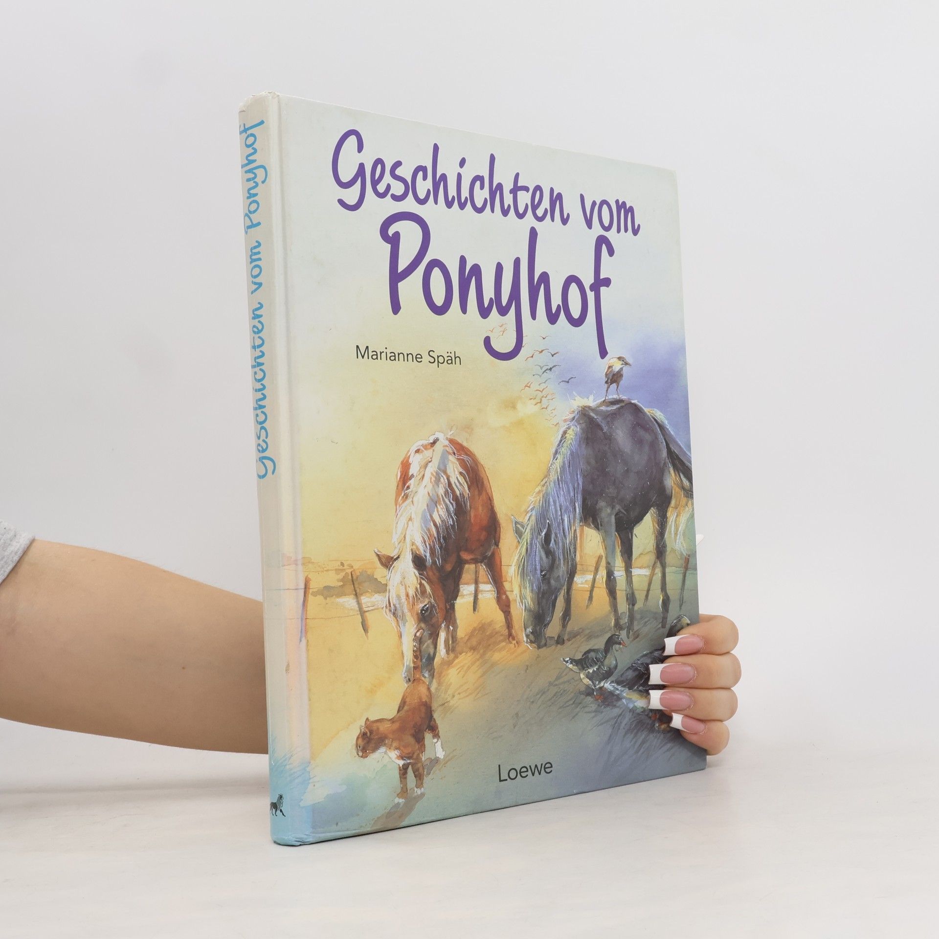 Marianne Späh Geschichten vom Ponyhof