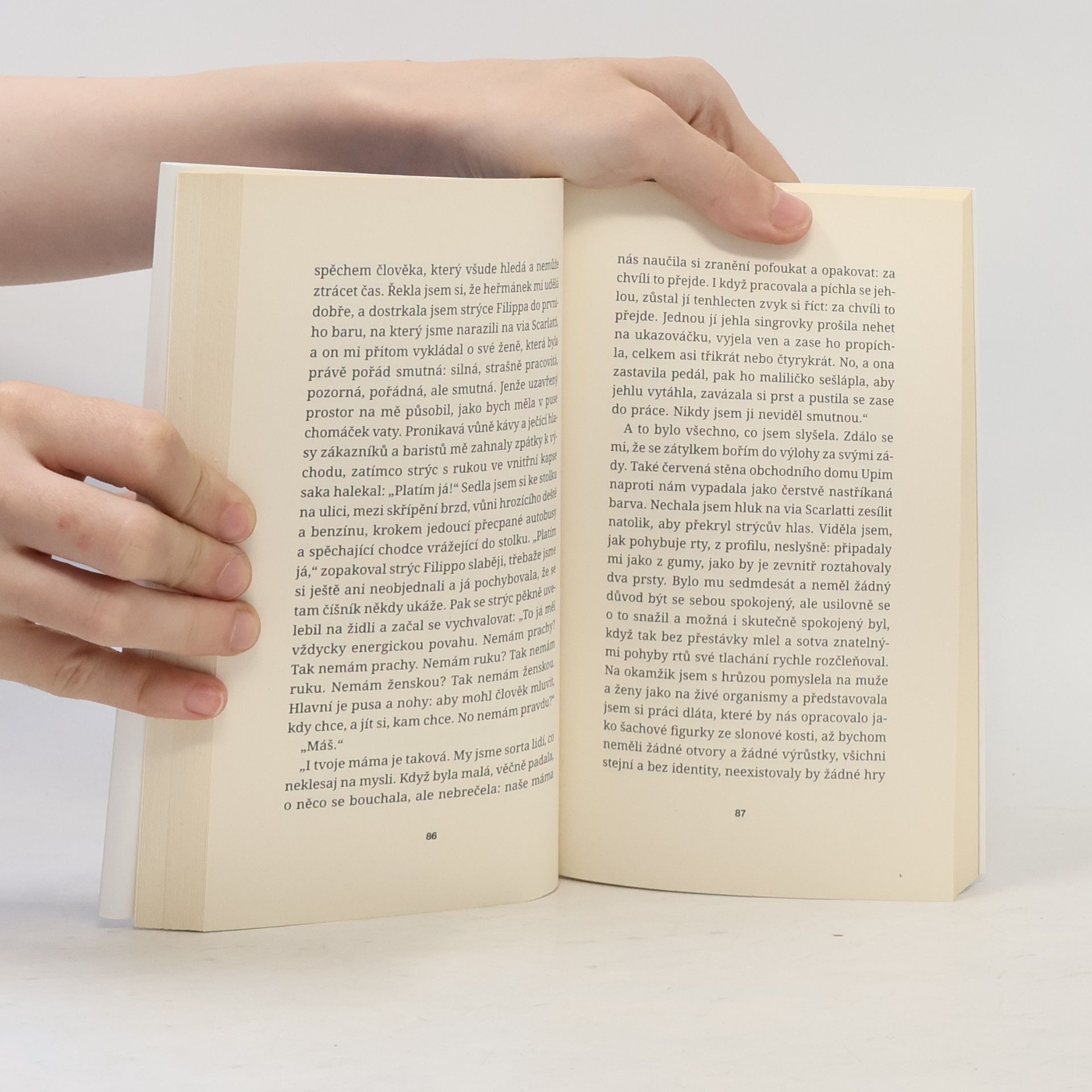 Elena Ferrante Tíživá láska