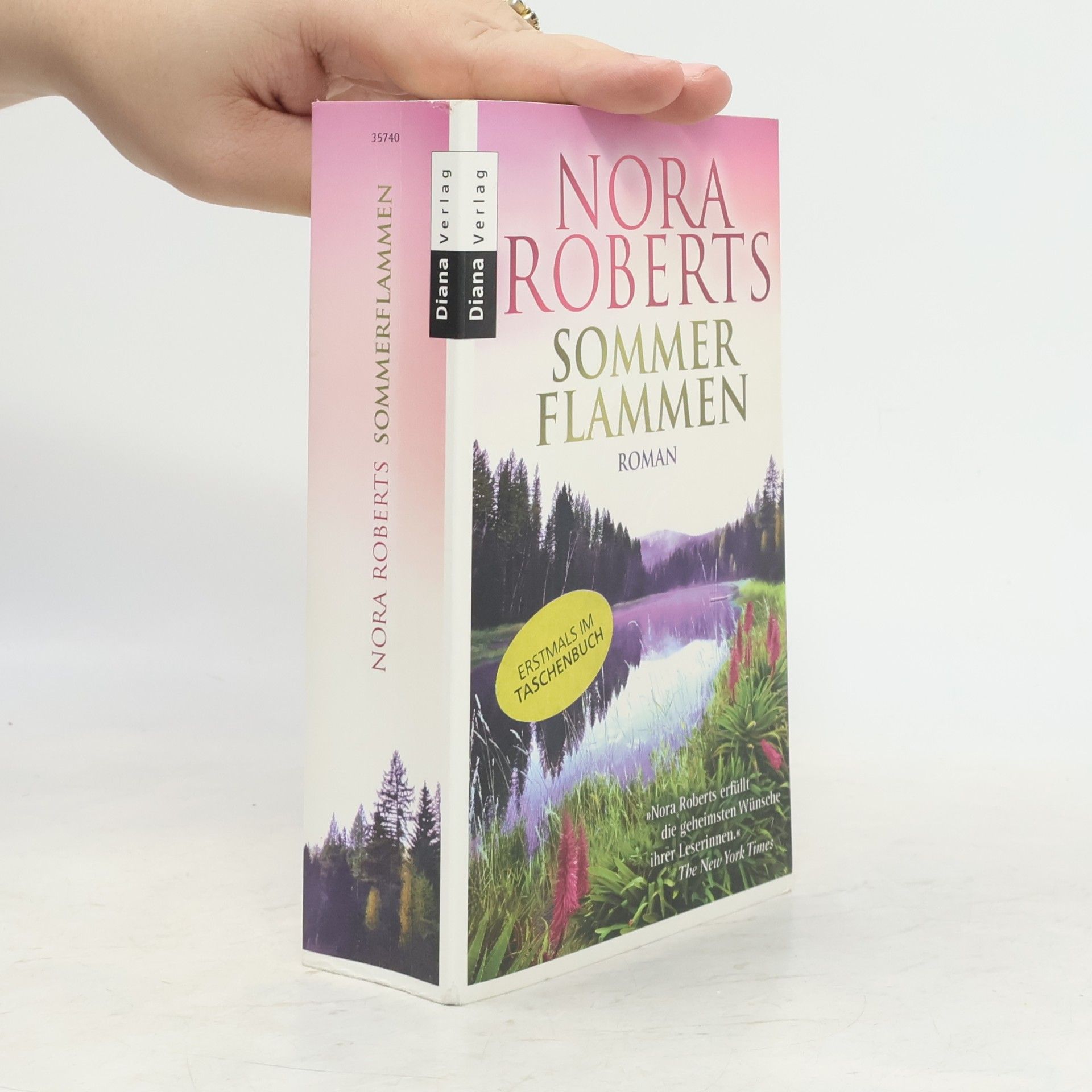 Nora Roberts Sommer Flammen
