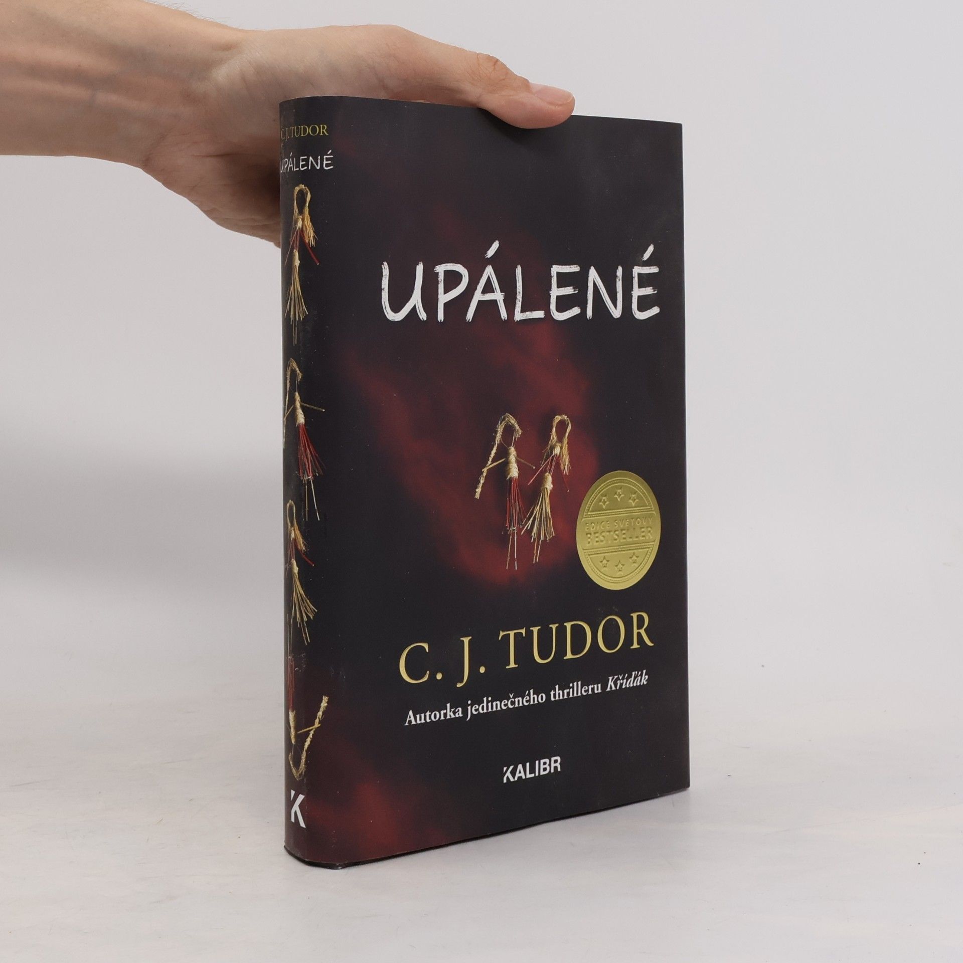 C.J. Tudor Upálené