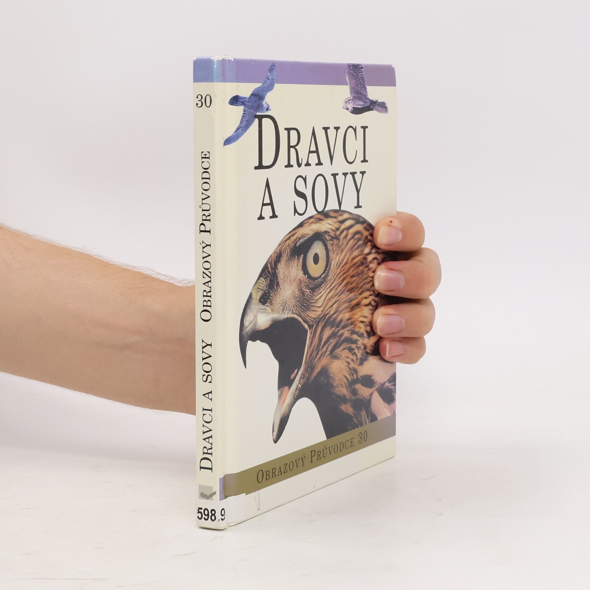 Kolektiv autorů Dravci a sovy