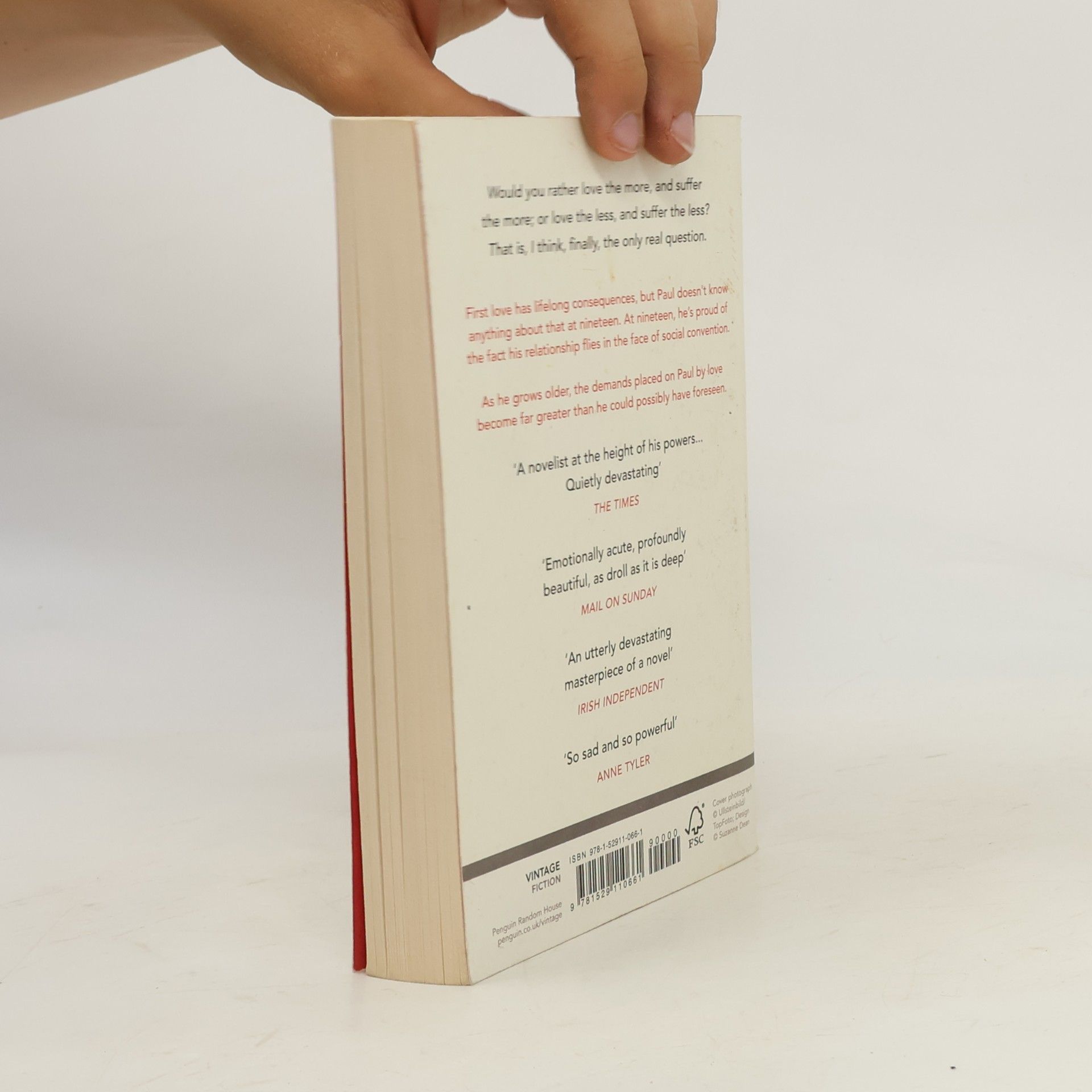 Julian Barnes The only story