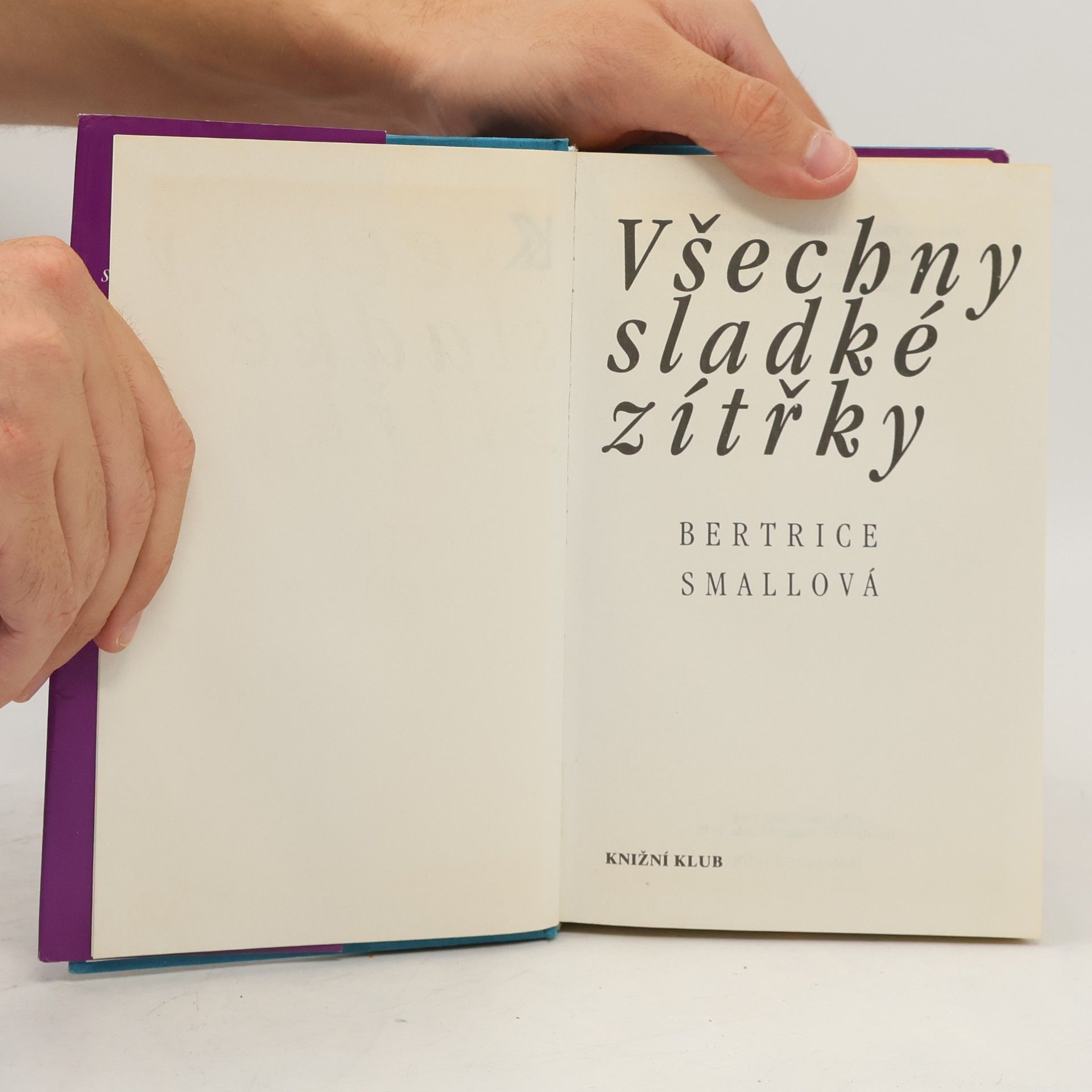 Bertrice Small Všechny sladké zítřky