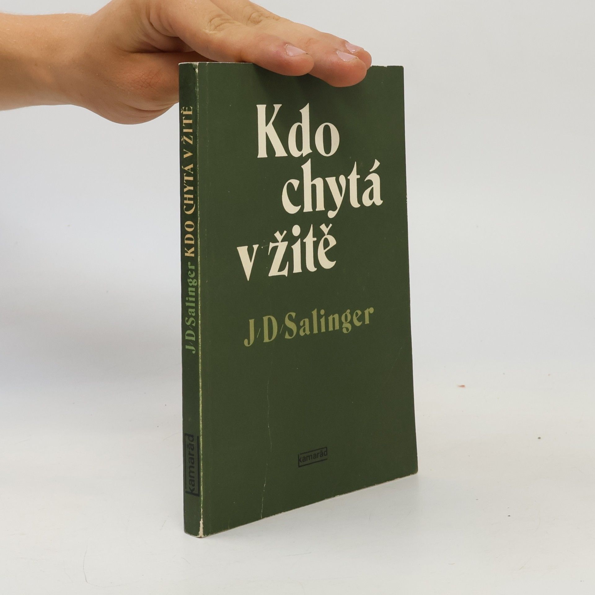 J. D. Salinger Kdo chytá v žitě