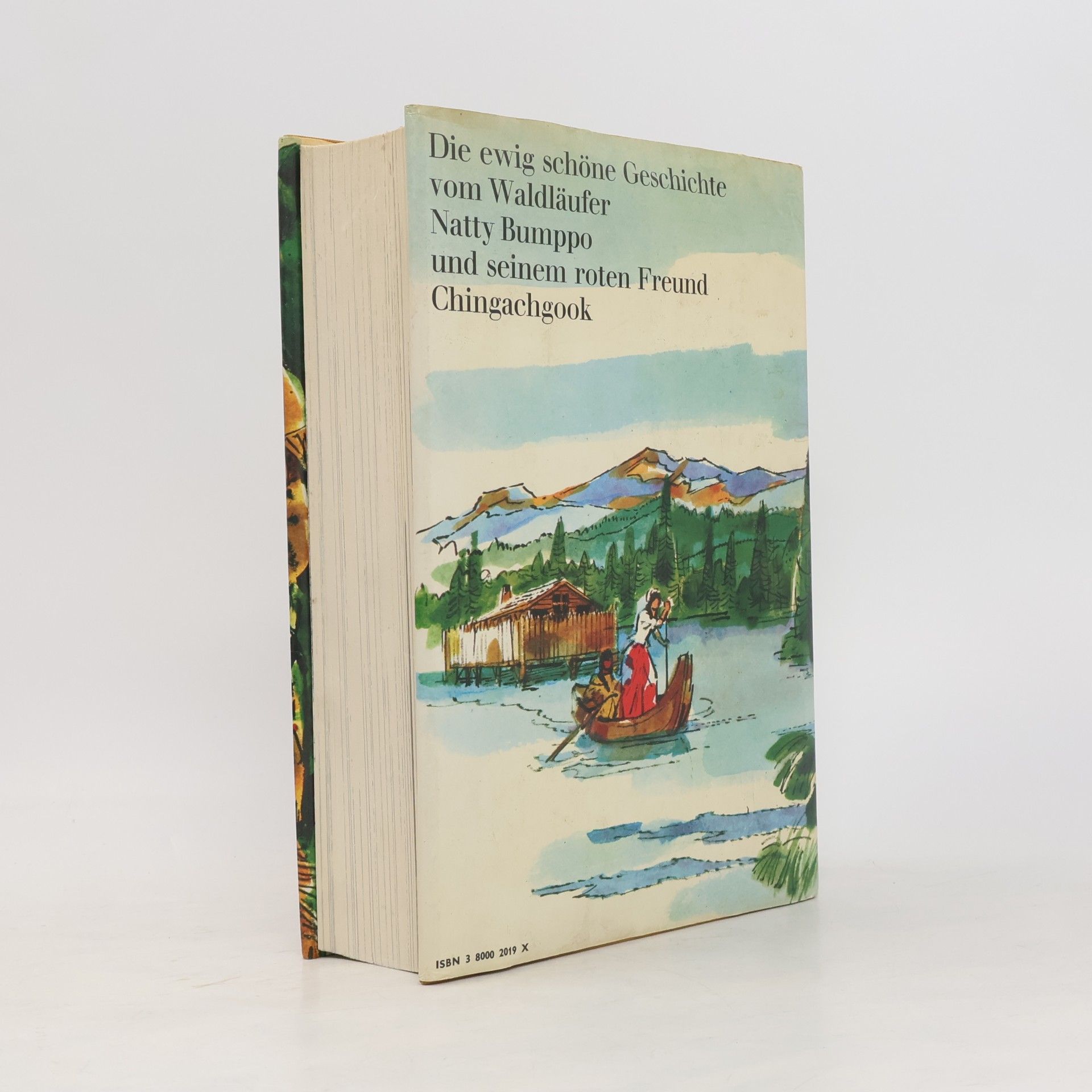 James Fenimore Cooper Lederstrumpf