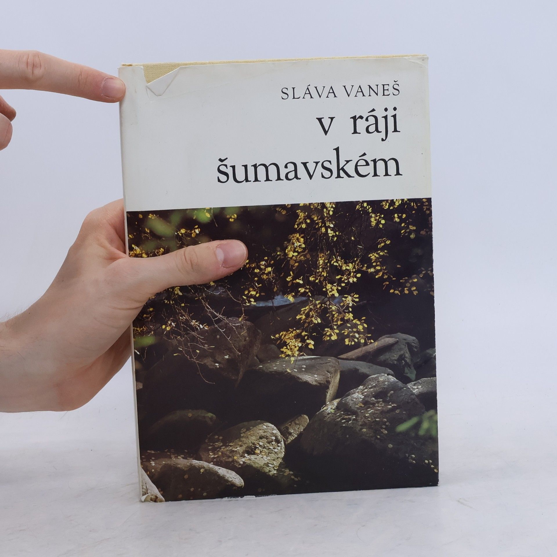 Vaneš Sláva V ráji šumavském