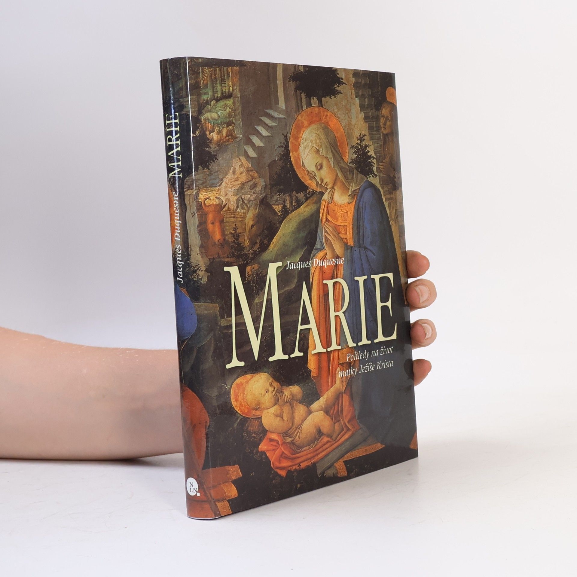Jacques Duquesne Marie - Pohledy na život matky Ježíše Krista