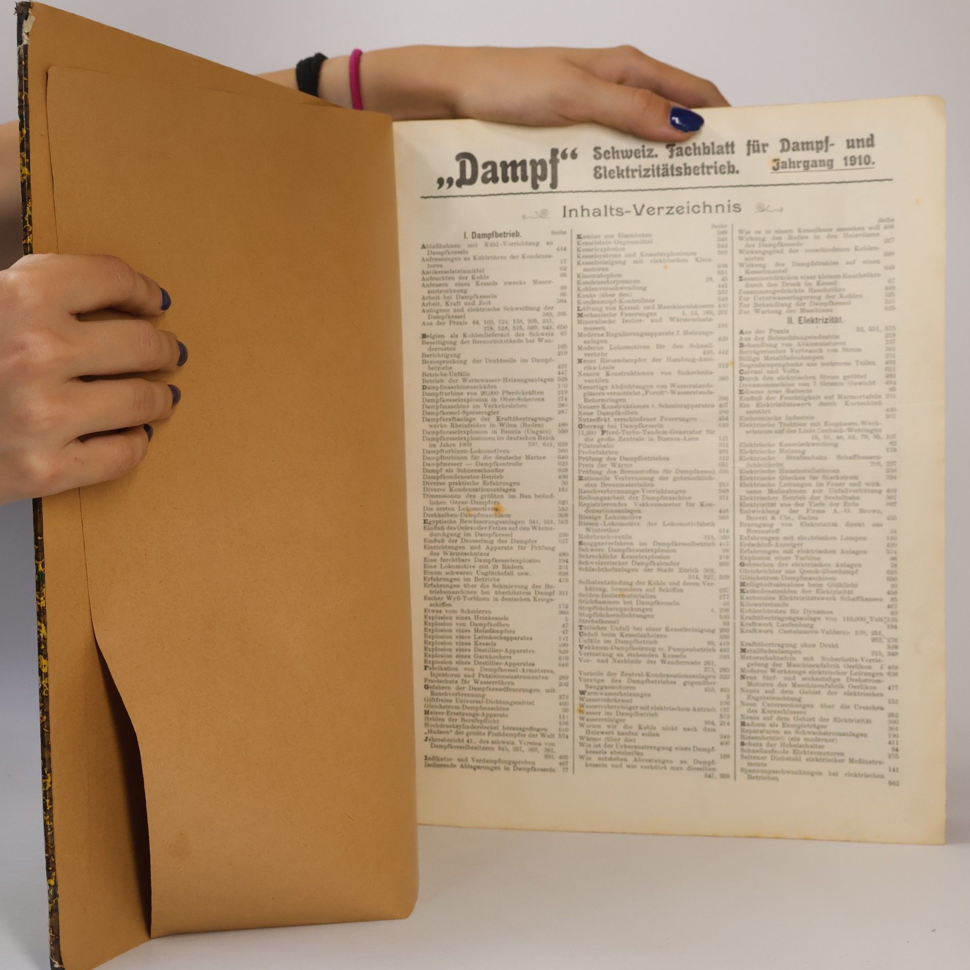 Autorenkollektiv Dampf. Schweizerisches Fachblatt für Dampfbetrieb