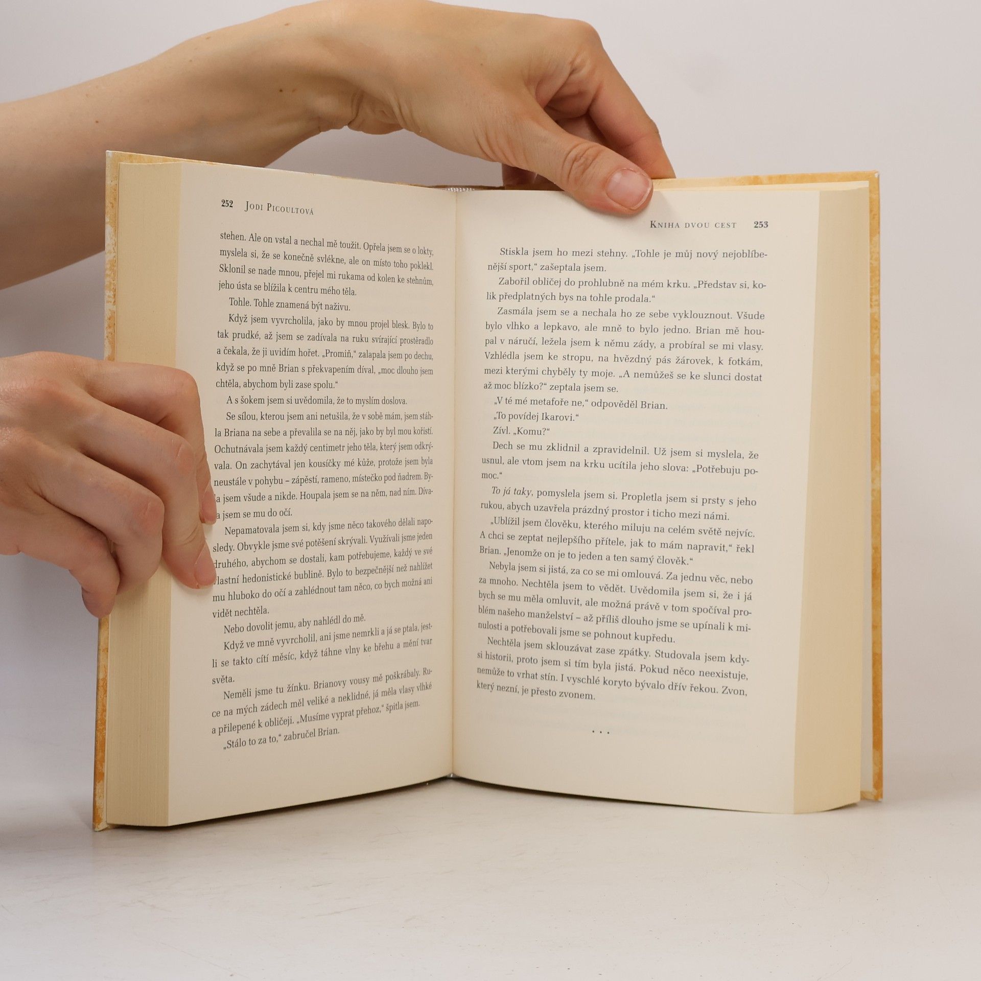 Jodi Picoult Kniha dvou cest